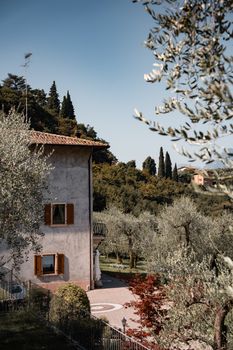 Traditional Italian house surrounded by olive groves in scenic Malcesine, Veneto.