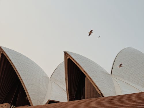 Chụp ảnh Góc Thấp Của Nhà Hát Opera Sydney