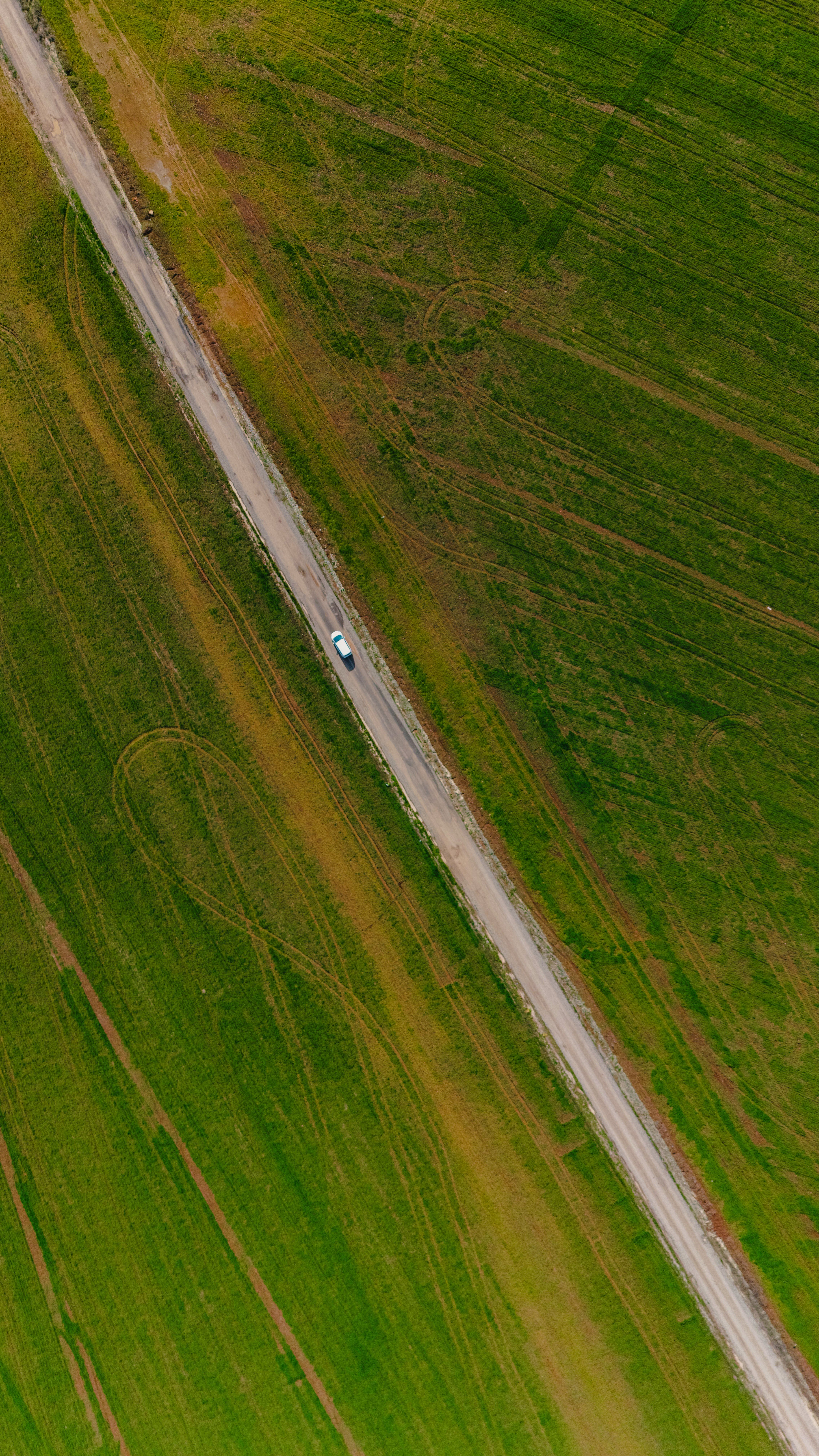 Aerial View of Road Through Vibrant Green Fields · Free Stock Photo