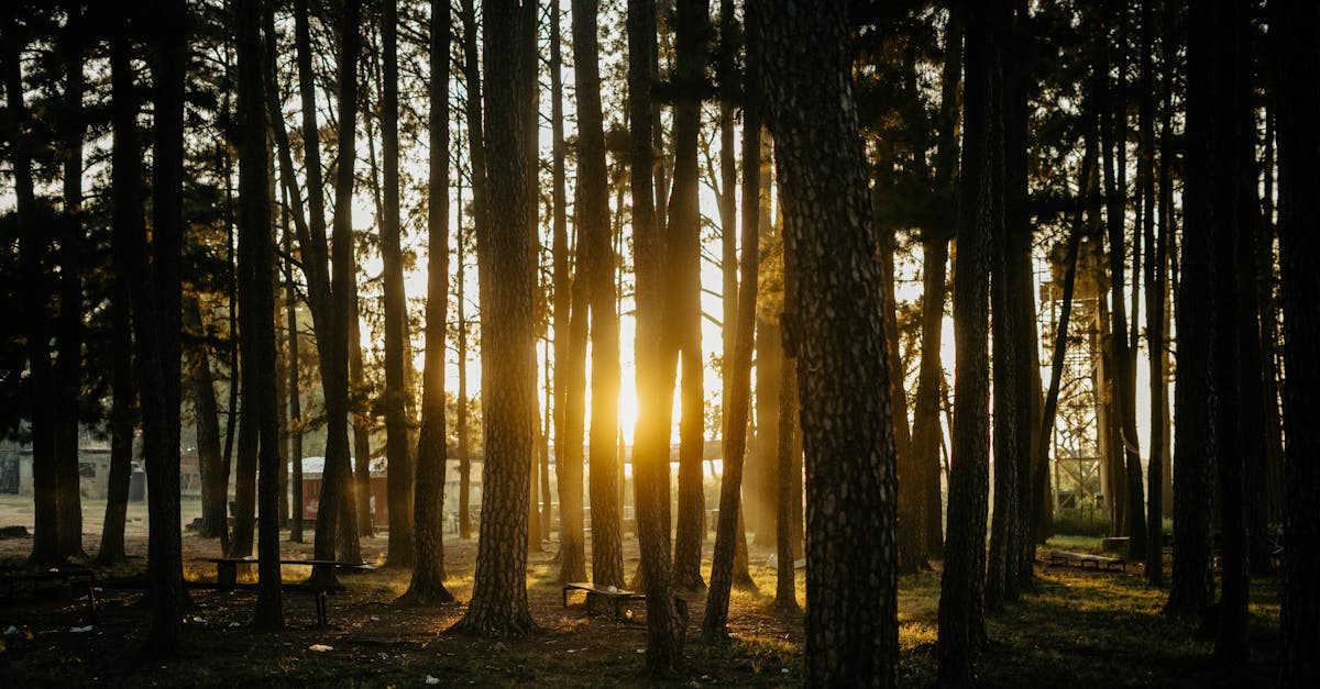 Top 10 des documentaires environnementaux à voir