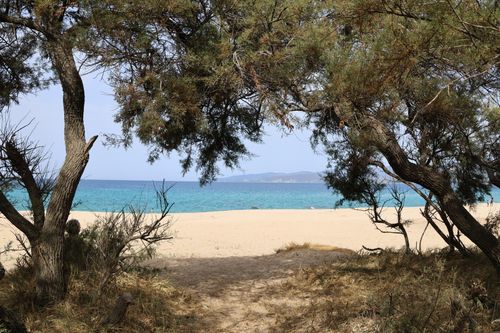 Free Peaceful beach scene with turquoise waters and trees framing the sandy shore. Stock Photo