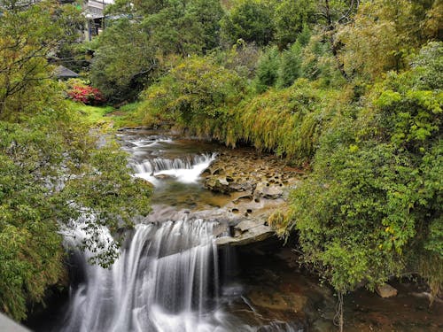 Free stock photo of cascade, waterfall