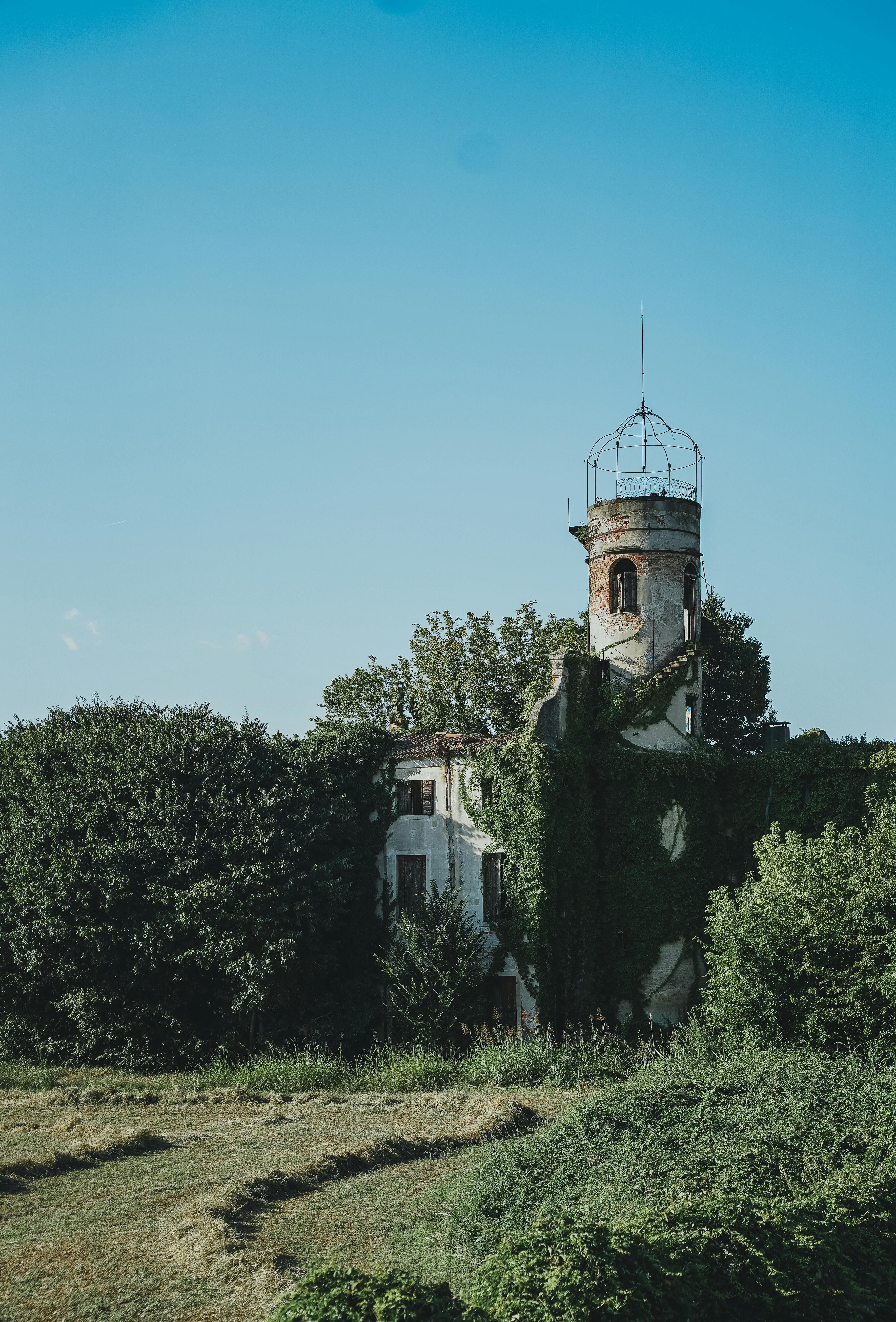 無料 イタリア、ヴェネト州パドヴァの澄んだ青空の下にあるツタに覆われた古代の塔。 写真素材