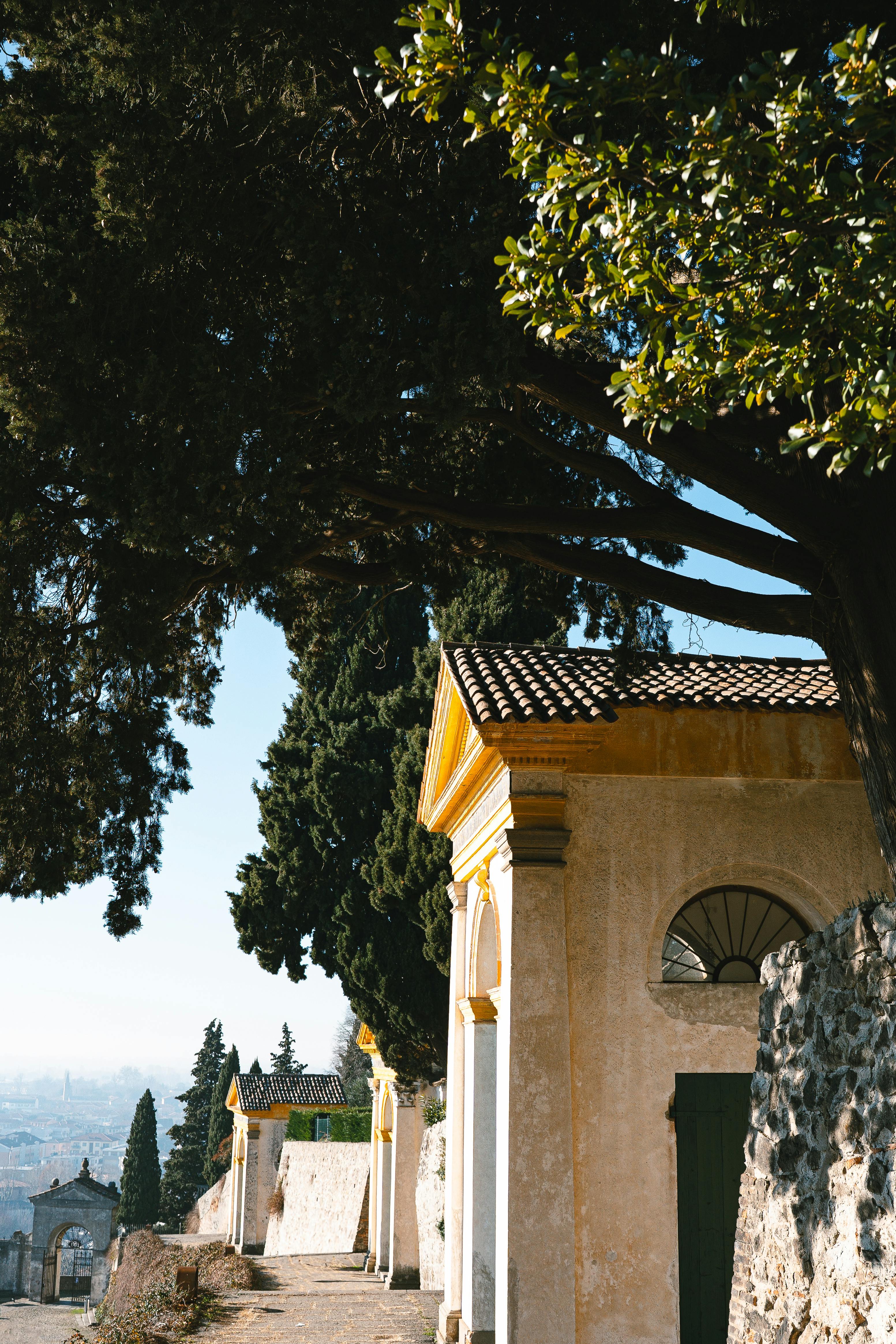 無料 晴れた日に緑豊かな常緑樹に囲まれた魅力的な地中海建築。 写真素材