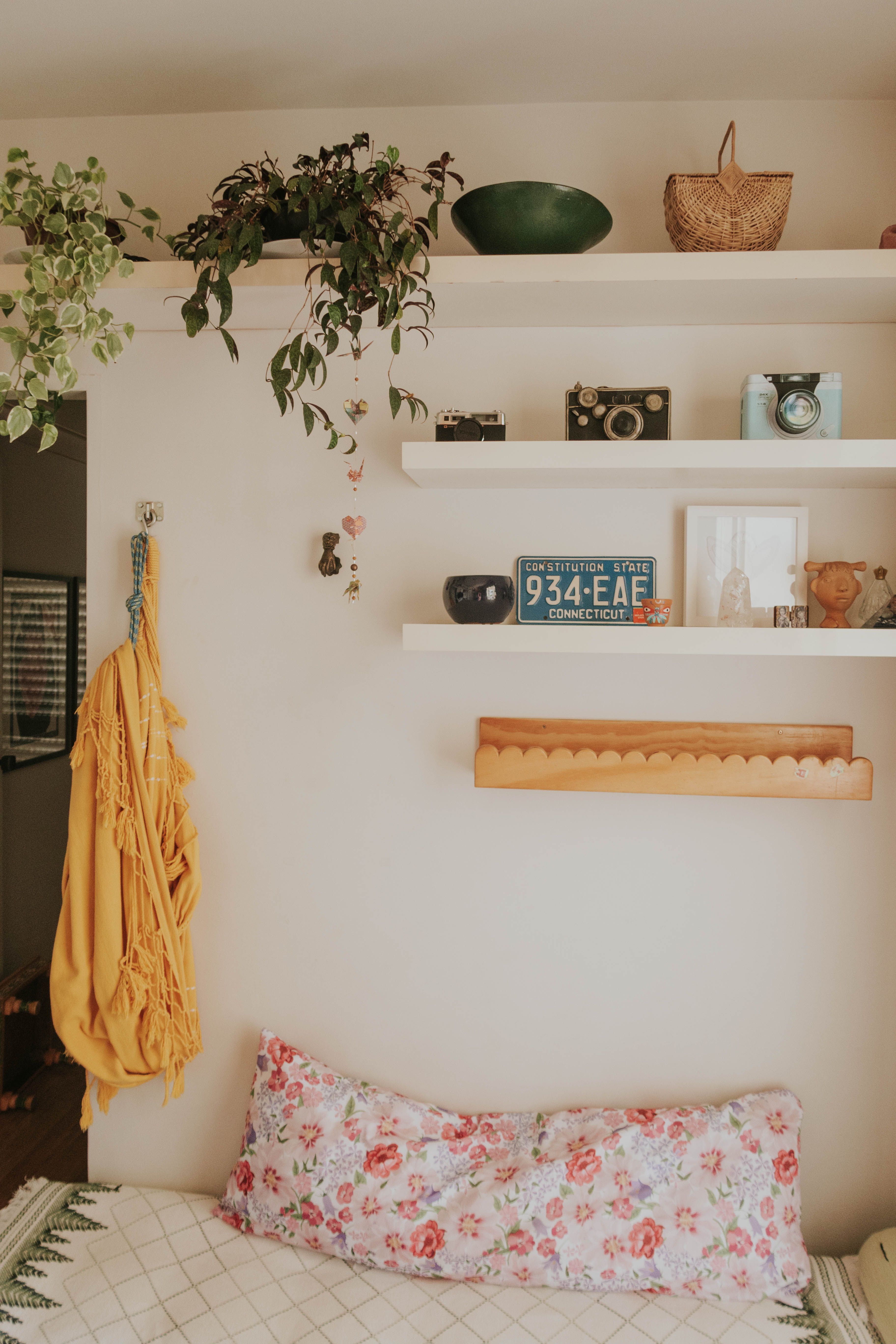 Shelves styled with vintage cameras, plants, and personal decor