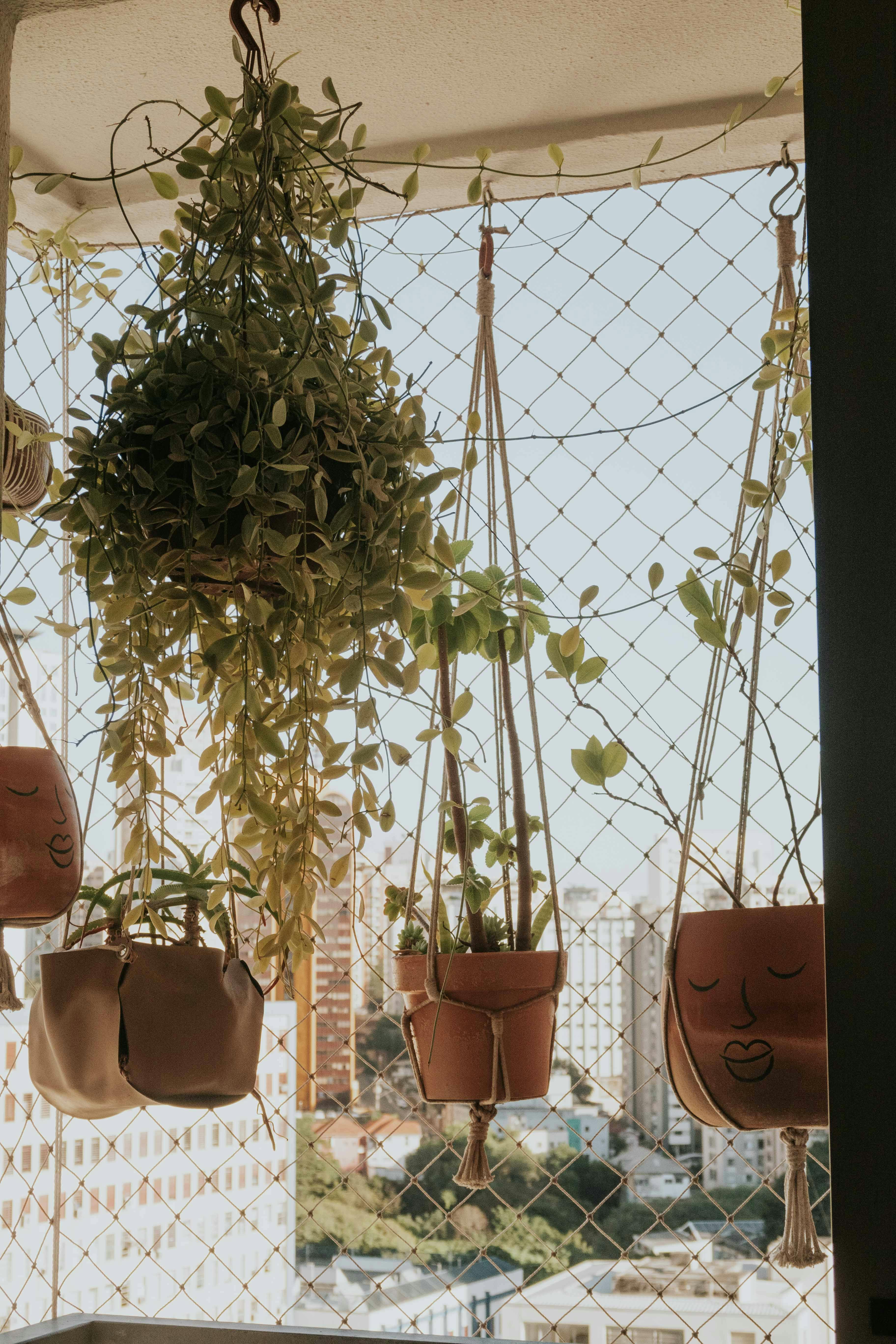 Gratis Balkon perkotaan yang tenang dengan tanaman gantung dalam pot artistik, menawarkan pemandangan kota yang indah. Foto Stok