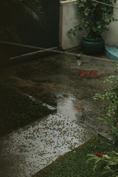 A serene garden pathway with rainwater reflections and lush greenery.