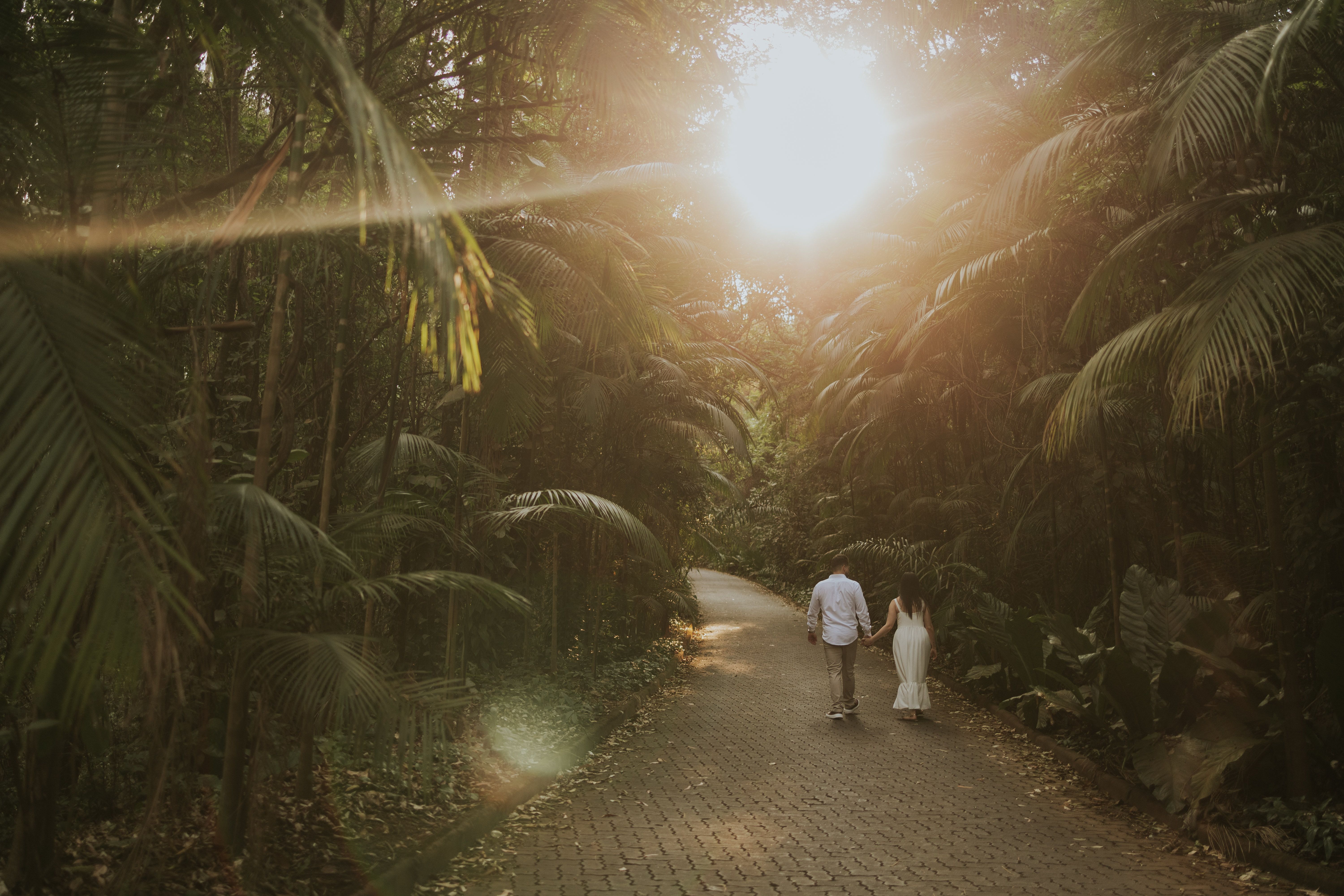 Romantic Couple Walking in Sunlit Forest Path · Free Stock Photo