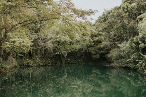 Free A tranquil forest landscape featuring a calm pond surrounded by lush greenery. Stock Photo