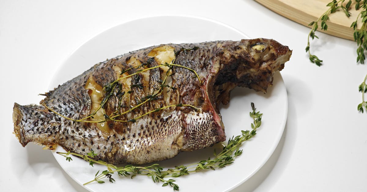 Tilapia Congo la grătar