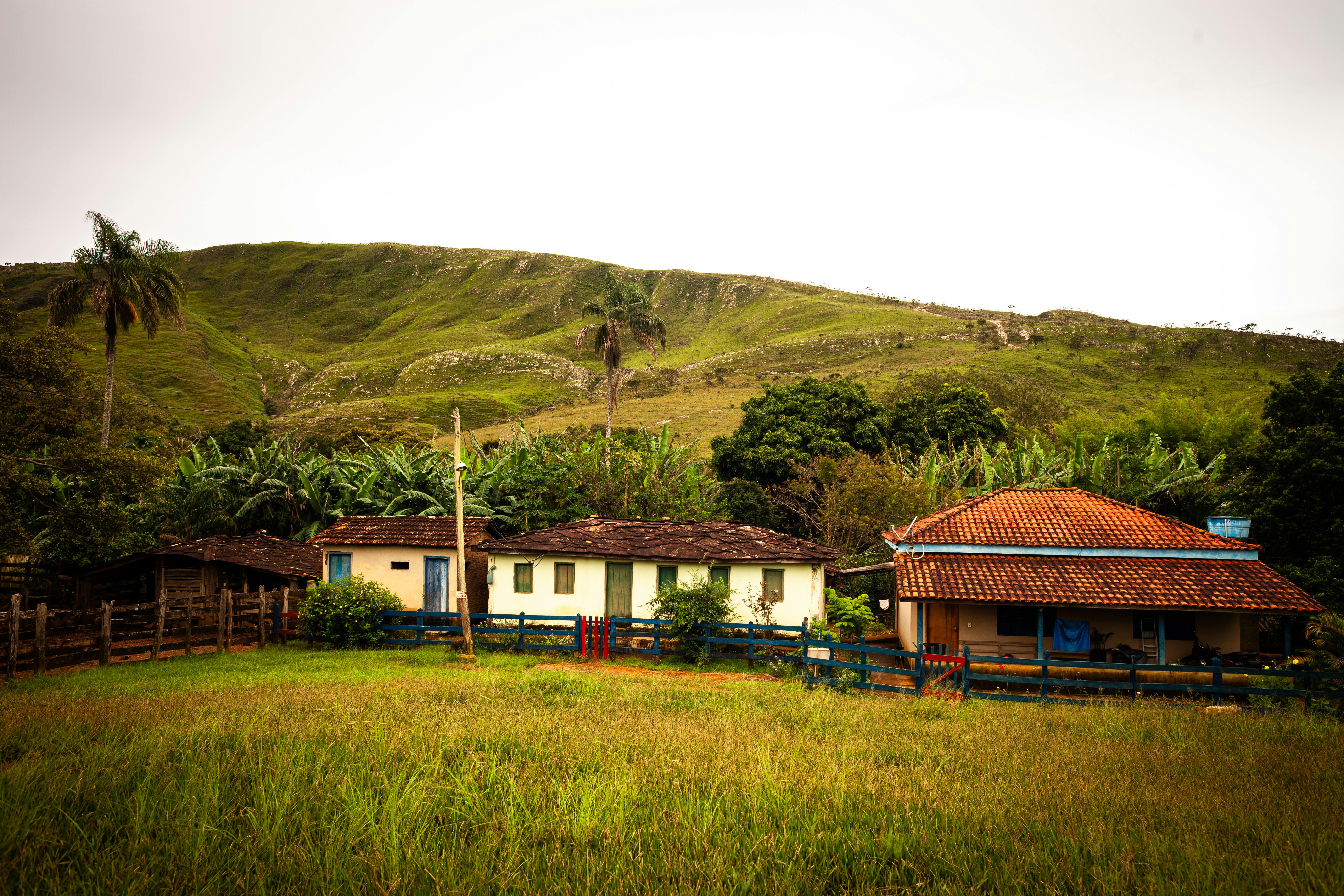 無料 緑豊かな丘と熱帯植物に囲まれた素朴な田舎の家。自然愛好家に最適です。 写真素材