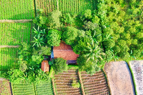 Kostnadsfri bild av åkermark, antenn, bondgård