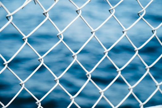 Blurred blue background framed by a close-up of a chain link fence.
