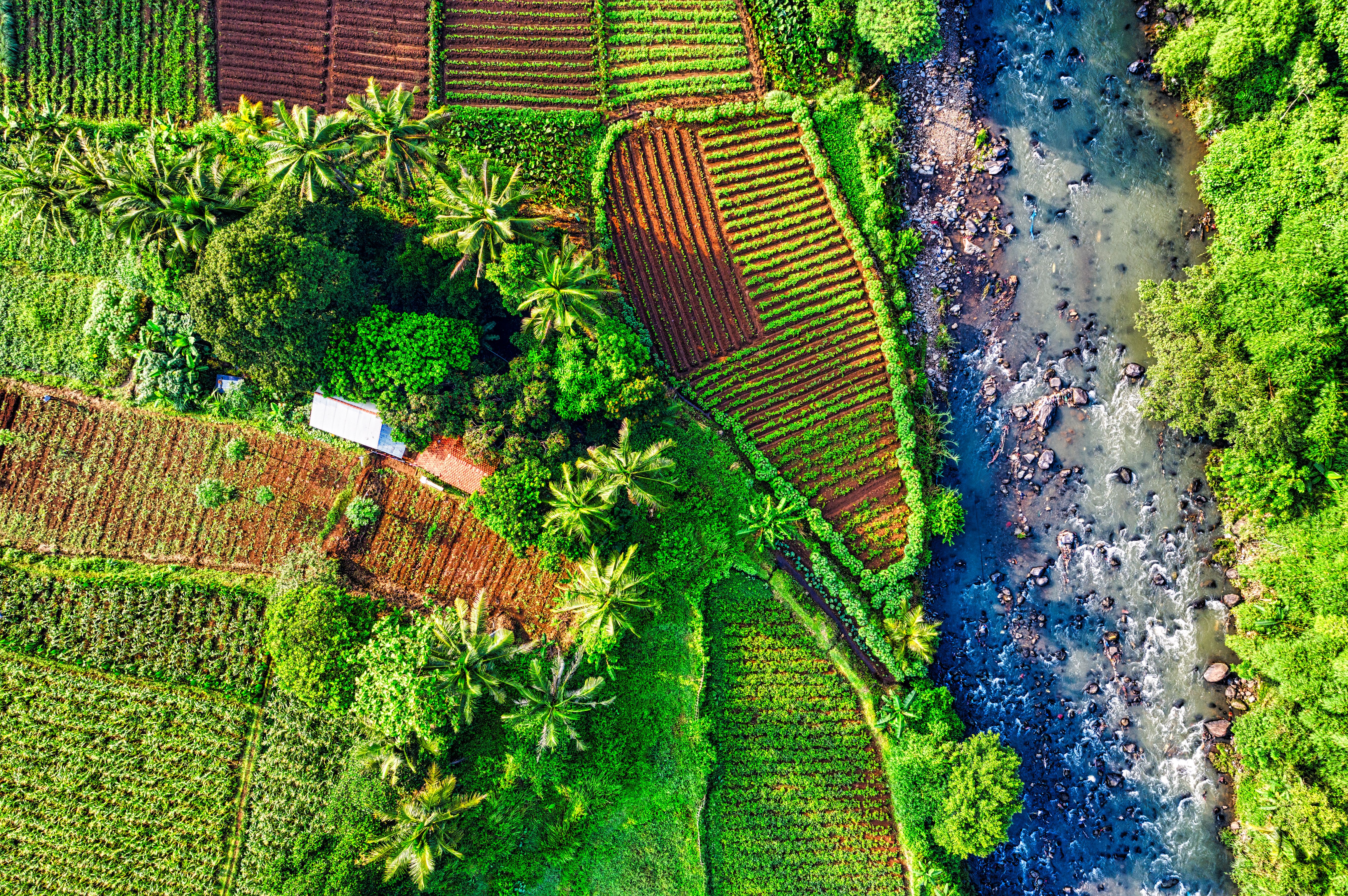 Aerial Shot Of Green Grass Field And Trees · Free Stock Photo