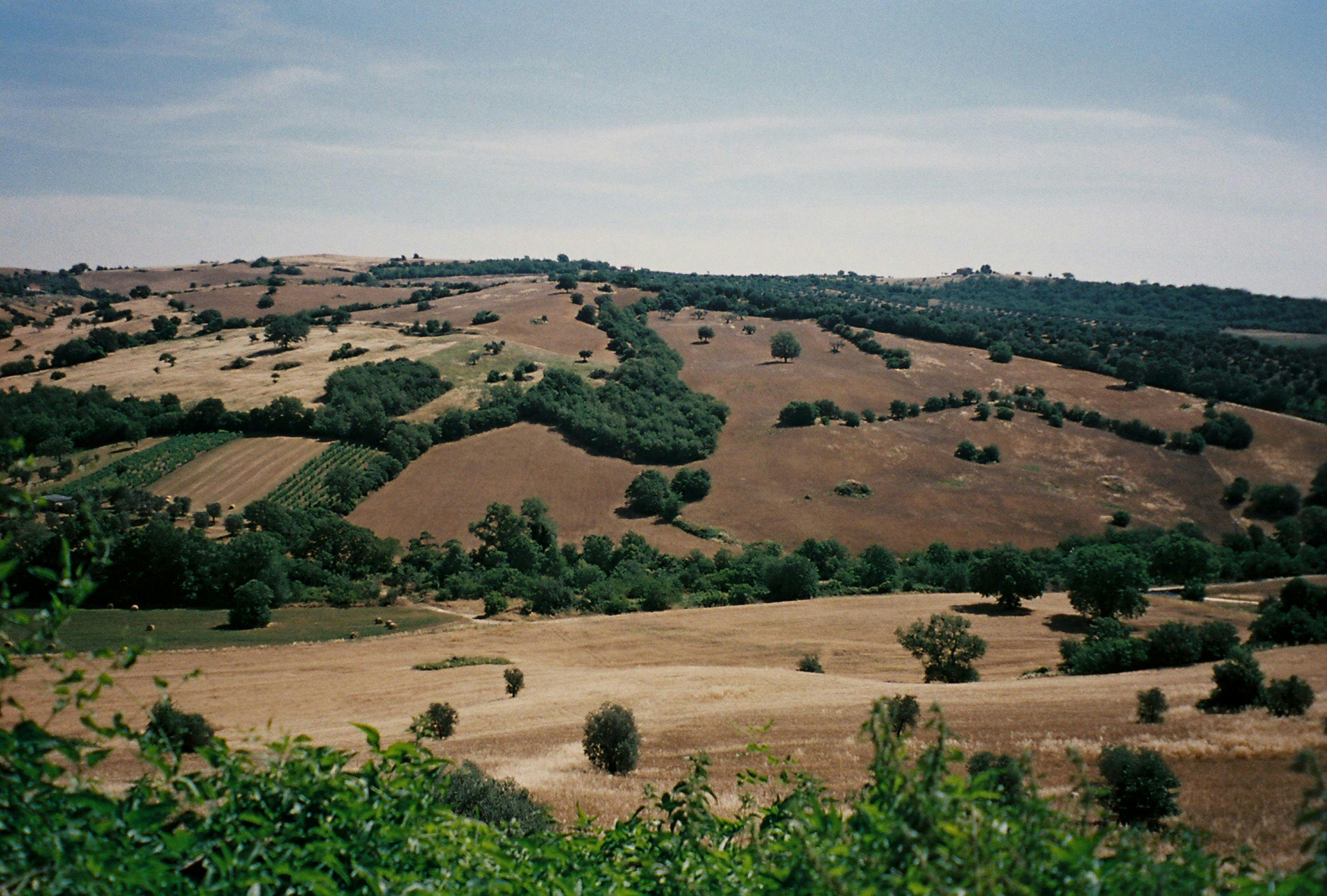 бесплатная Бесплатное стоковое фото с безмятежный, буколический, вид Стоковое фото