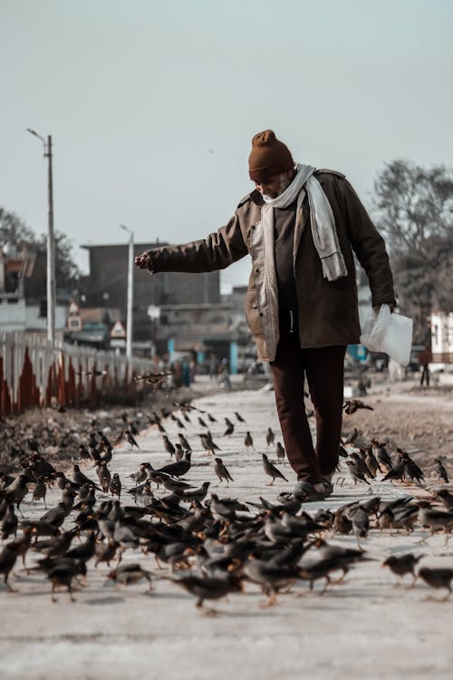 Man Feeding Birds · Free Stock Photo