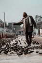 白天，一位老人在城市公园的人行道上喂鸽子