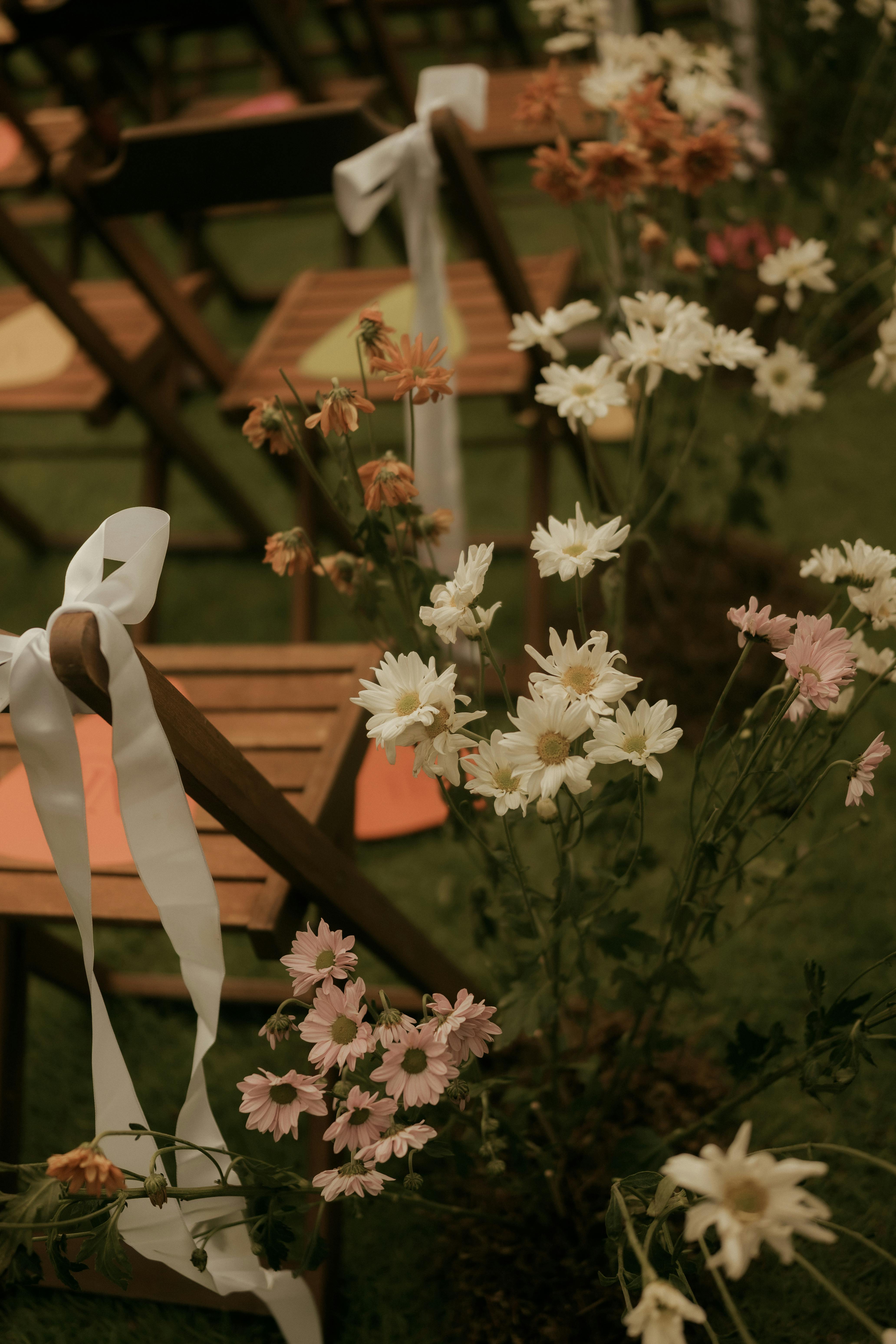 Free Rustic outdoor wedding setup featuring wooden chairs adorned with fresh flowers and elegant white ribbons. Stock Photo