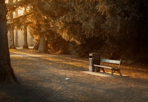 Free stock photo of majestic, park bench, shrewsbury
