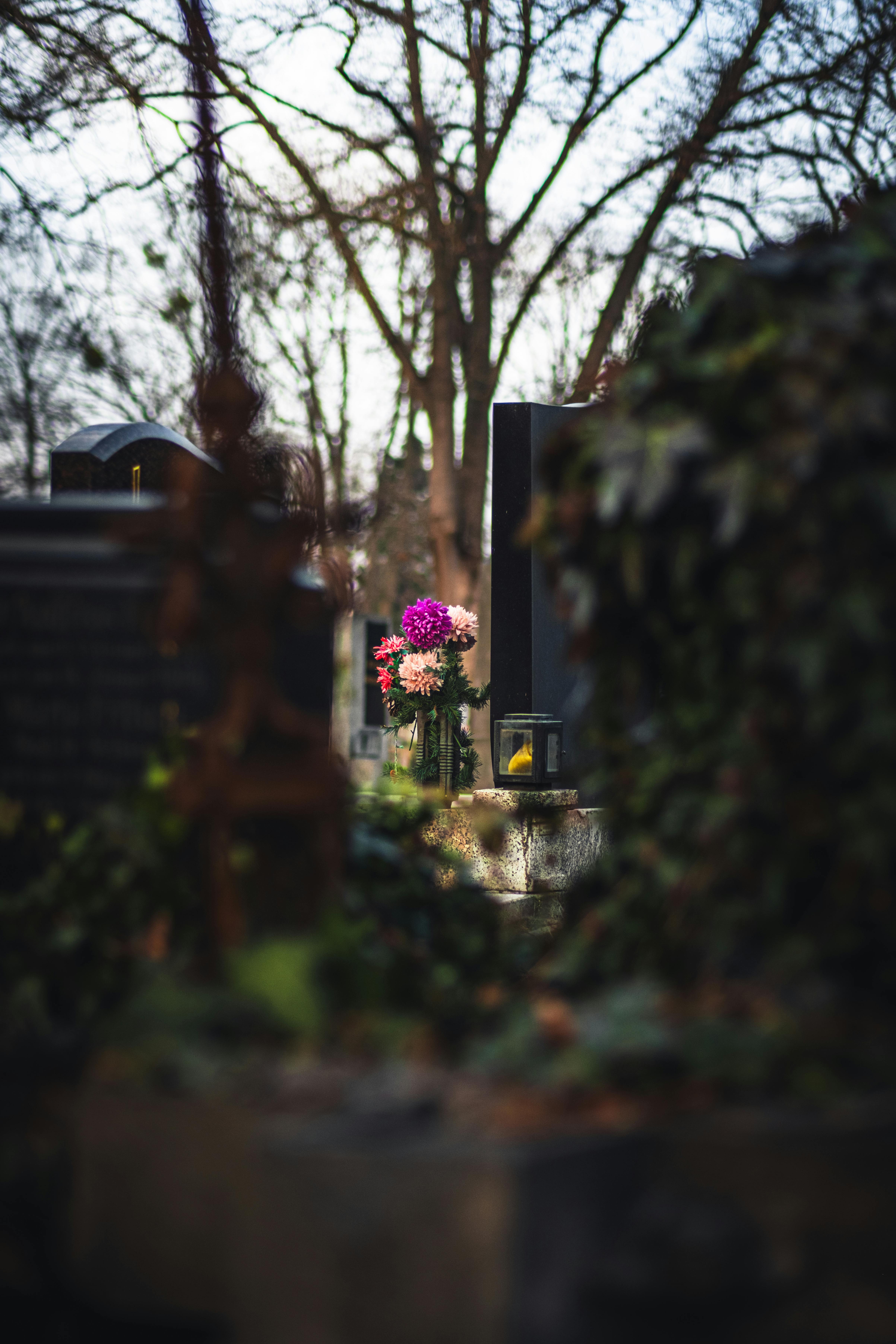 Δωρεάν Μια ζοφερή χειμερινή σκηνή νεκροταφείου στη Βιέννη με πολύχρωμα λουλούδια σε έναν τάφο. Φωτογραφία από στοκ φωτογραφιών