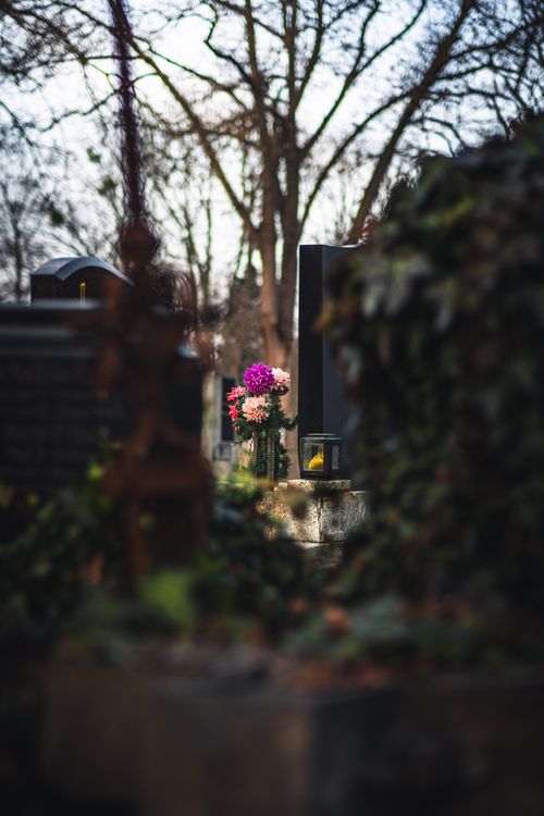 Free A somber winter cemetery scene in Wien with colorful flowers on a grave. Stock Photo