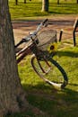 Vintage Bicycle with Sunflower in a Park Setting