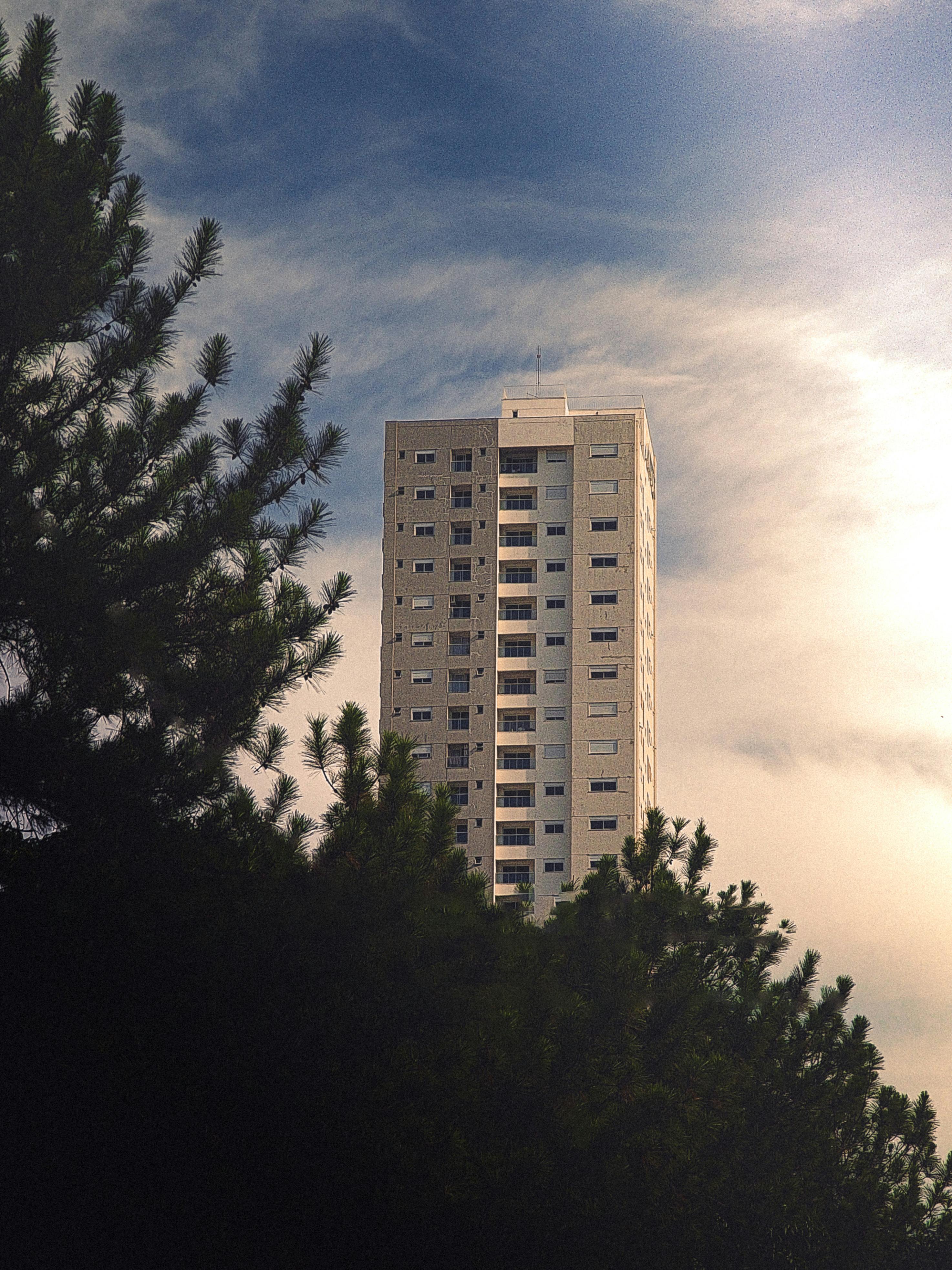 бесплатная Высокое жилое здание, виднеющееся сквозь деревья на фоне облачного неба, современная городская архитектура. Стоковое фото