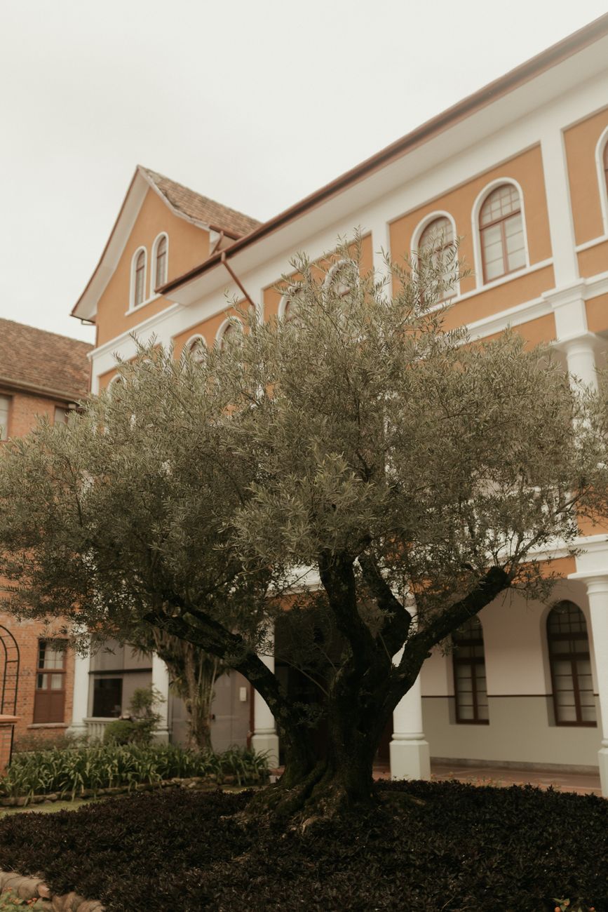 best artificial olive tree 2026 Vergleich