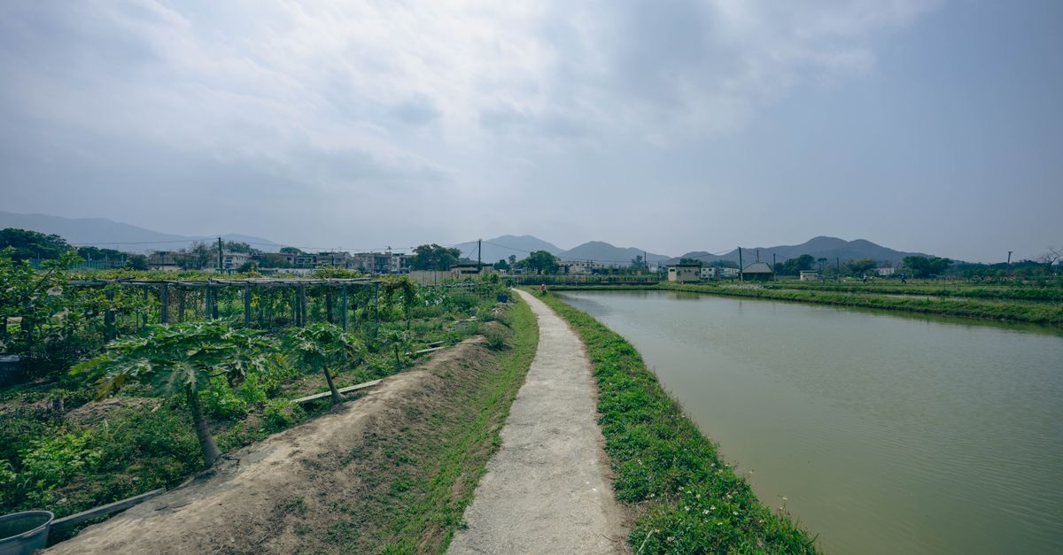 Carrollton Is Reshaping Its Green Spaces — and Residents Are Already Feeling the Difference
