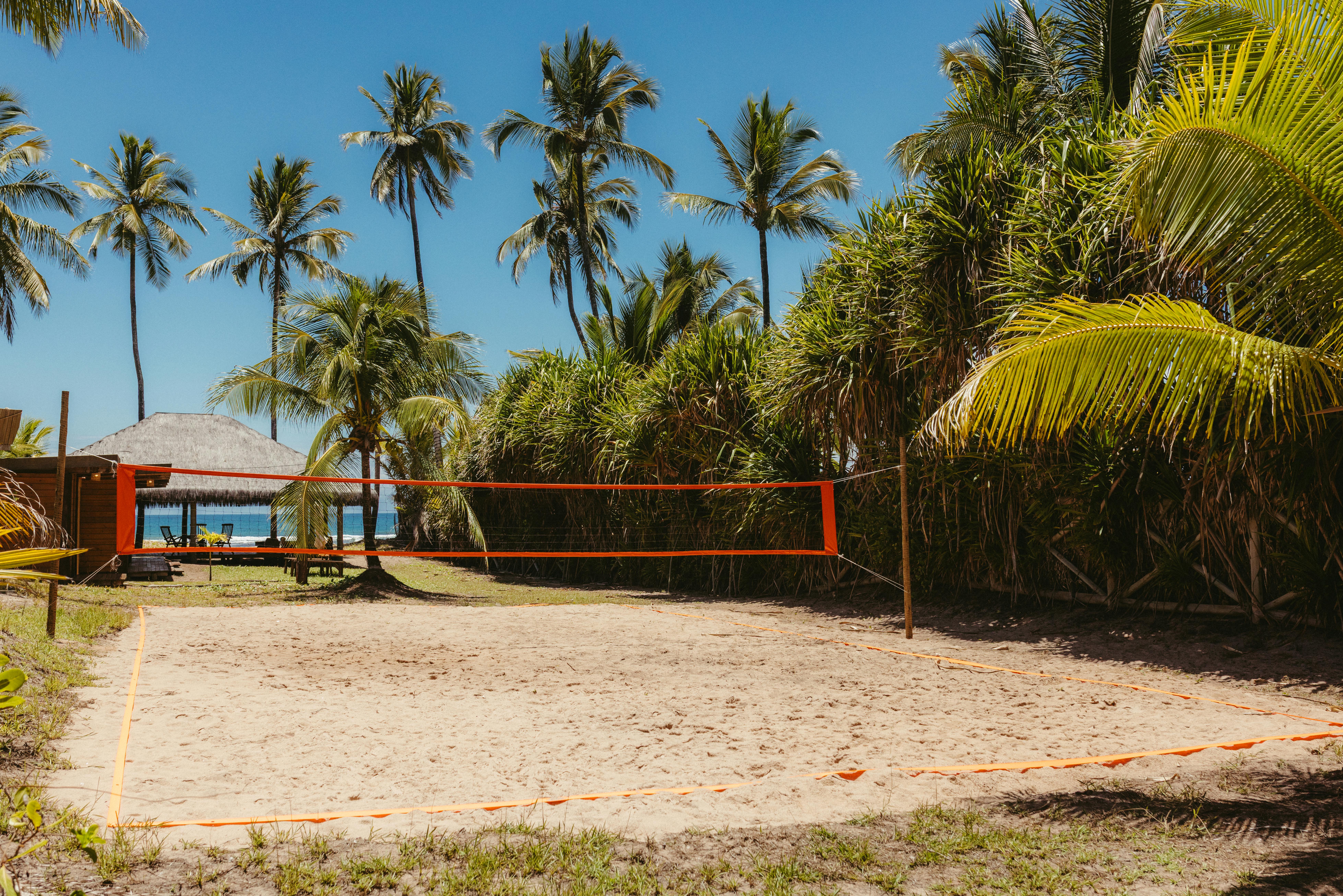 無料 晴れた日の熱帯ヤシの木々に囲まれた砂浜のバレーボールコート。 写真素材