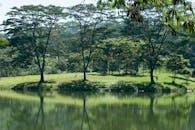 Serene Riverside Landscape with Reflections