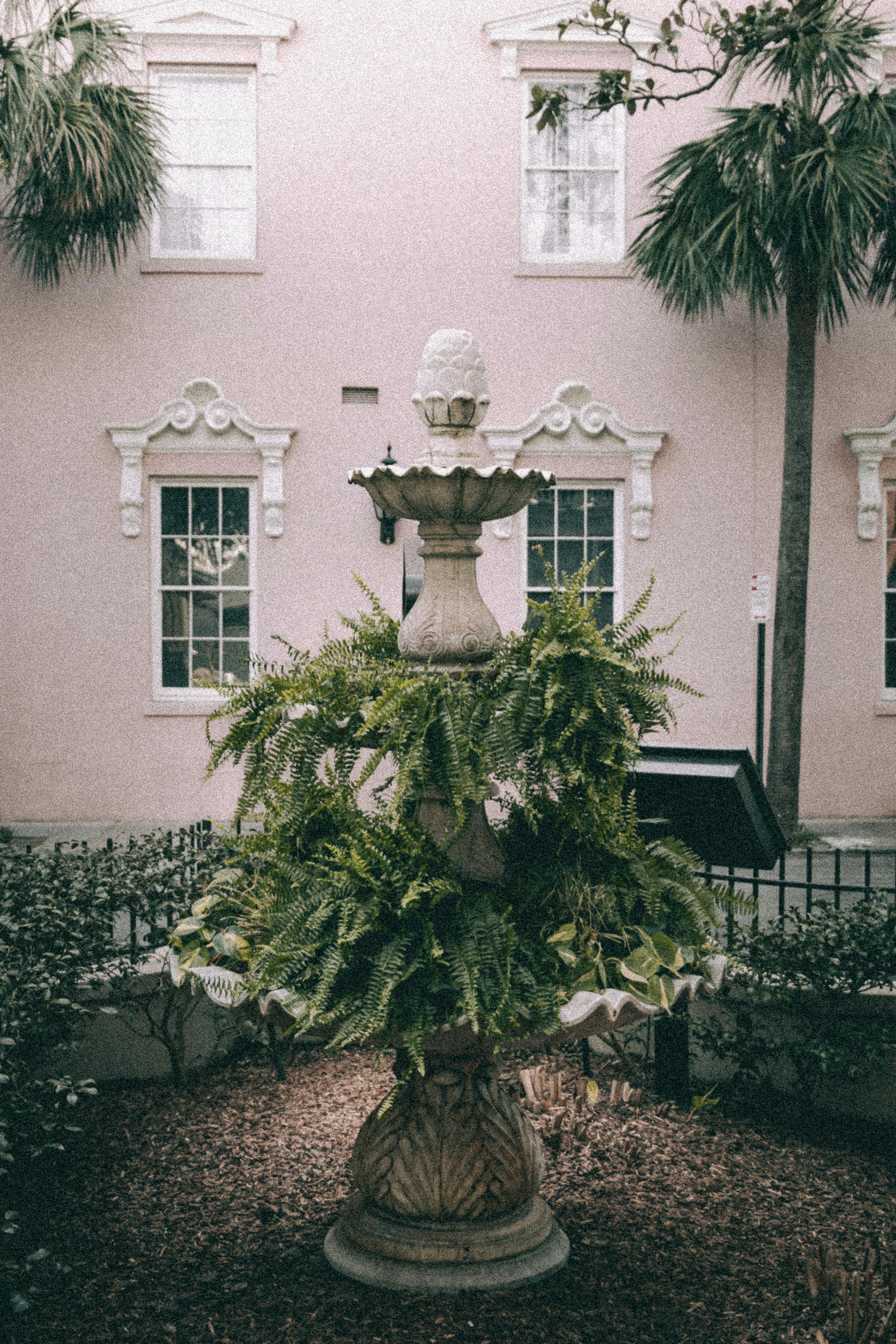 бесплатная Элегантный фонтан в живописном внутреннем дворике, окруженном пышными папоротниками. Стоковое фото