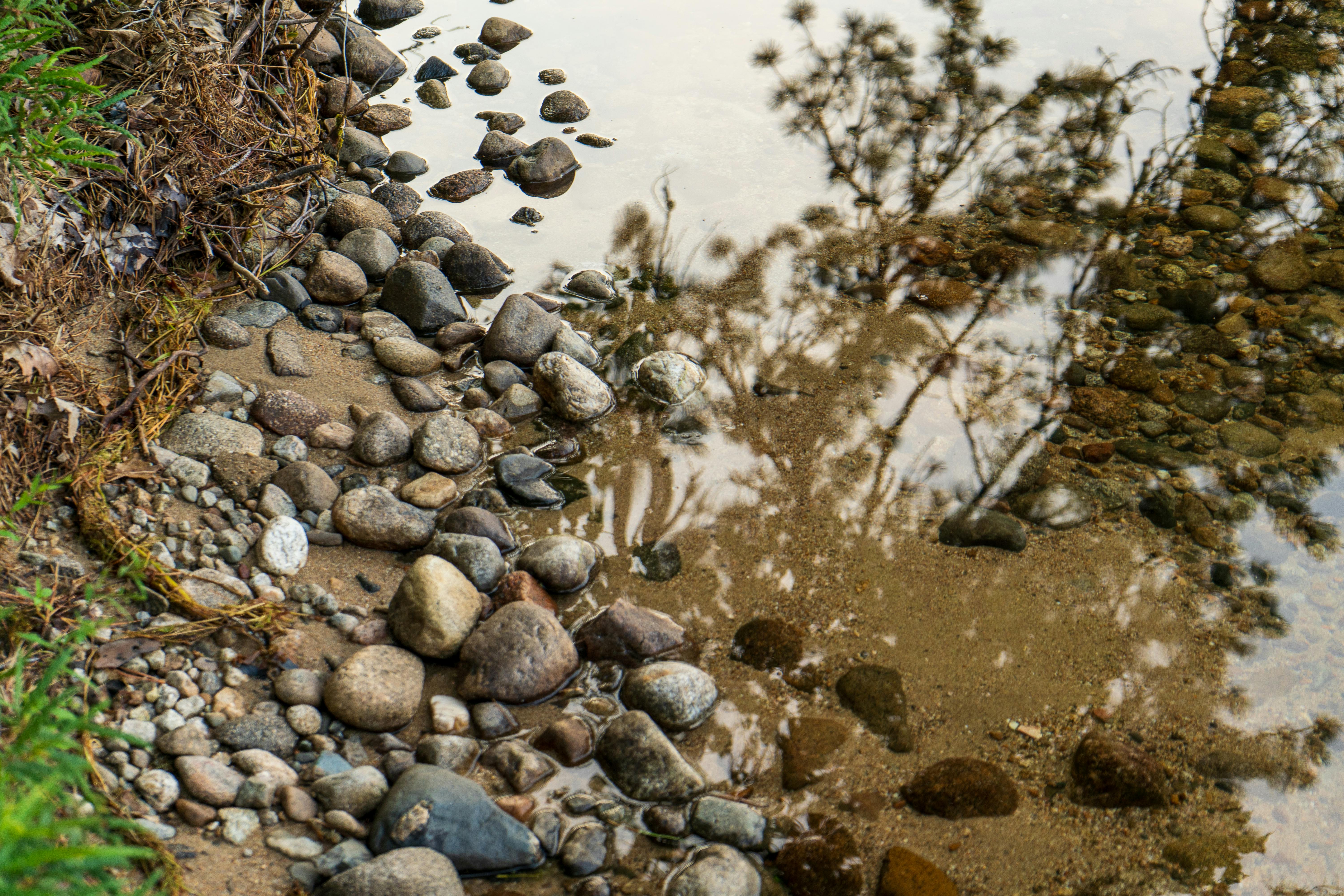 бесплатная Спокойный берег реки, в воде которого отражаются камни и деревья, создает умиротворяющую природную картину. Стоковое фото