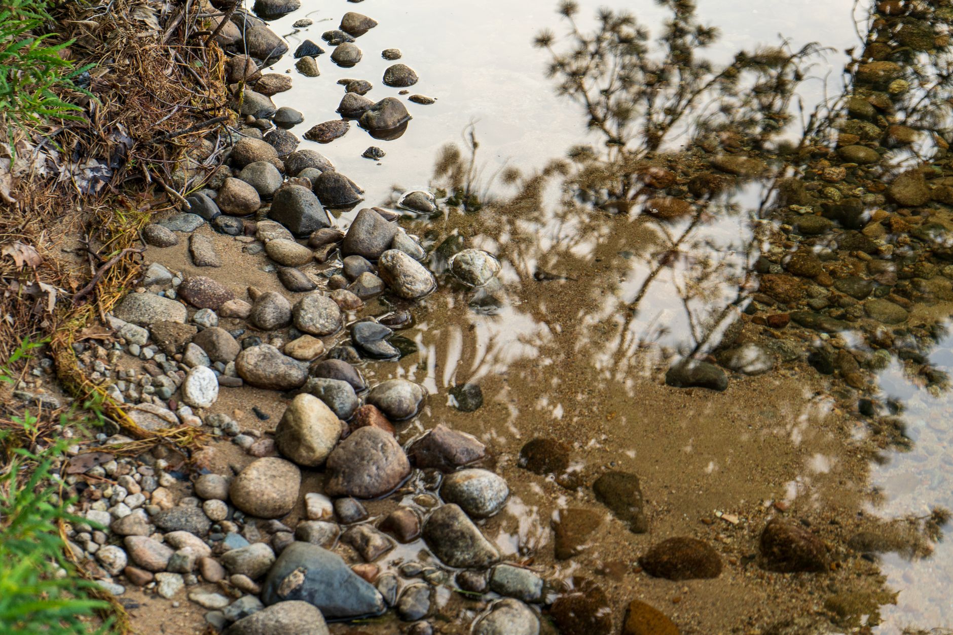 Boardman River Fishing: Beitner Road Fall Consistency