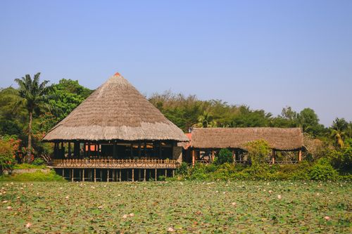 Free Rustic Vietnamese thatched roof building near a serene lotus pond, surrounded by lush greenery. Stock Photo
