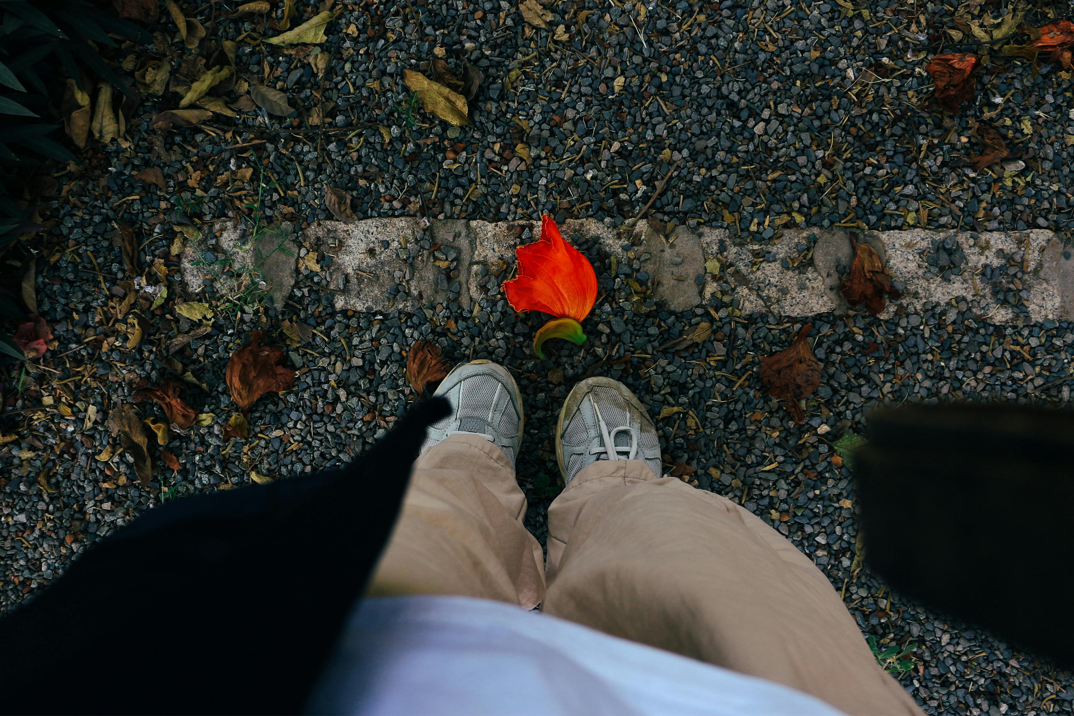 Gratis Ripresa prospettica di piedi appoggiati sulla ghiaia con un fiore dai colori vivaci, che cattura un momento unico all'aperto. Foto a disposizione