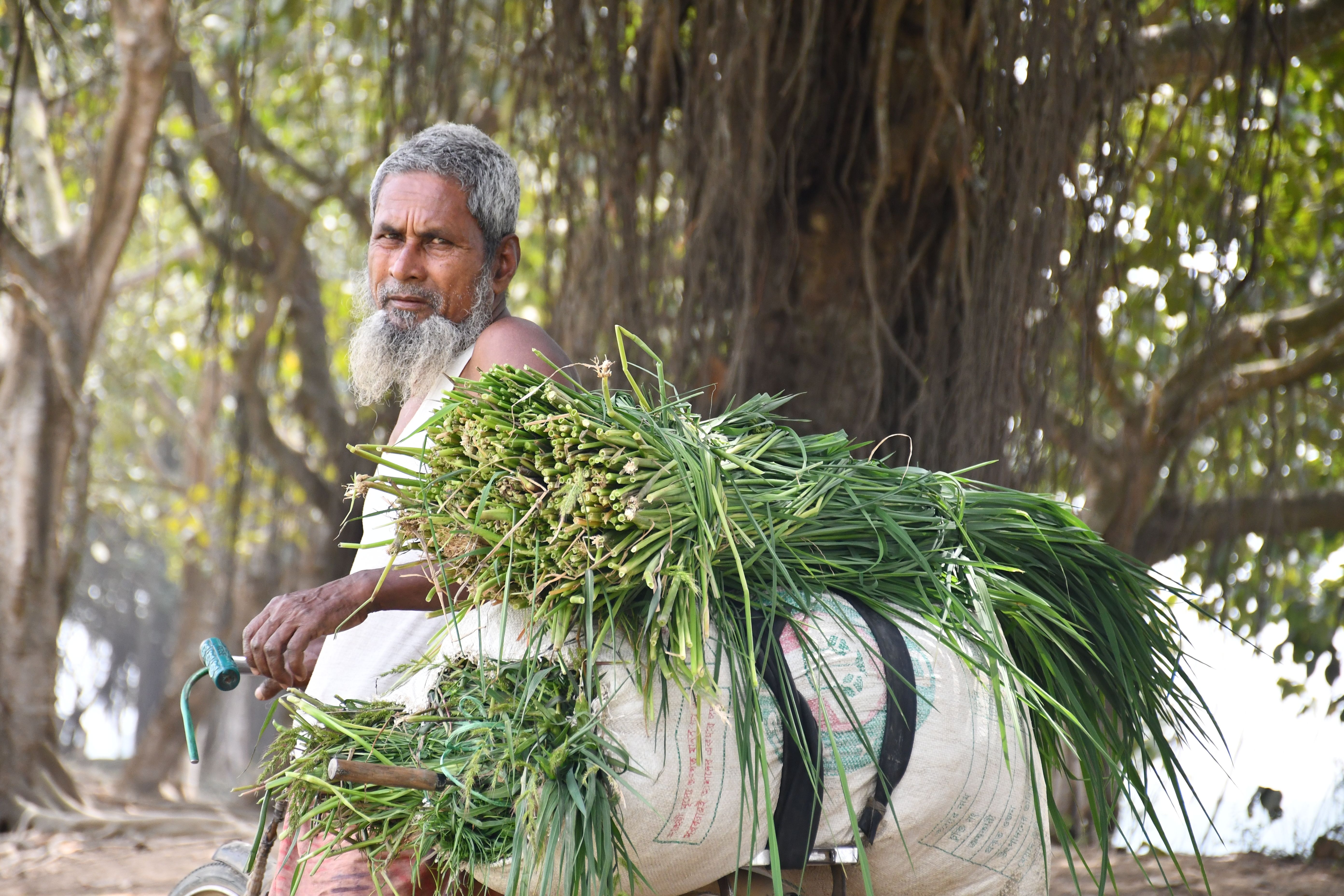 From daily burden to scheduled protection: the “vaccine-like” shift in hypertension - Nature — Photo by masudar rahman on Pex