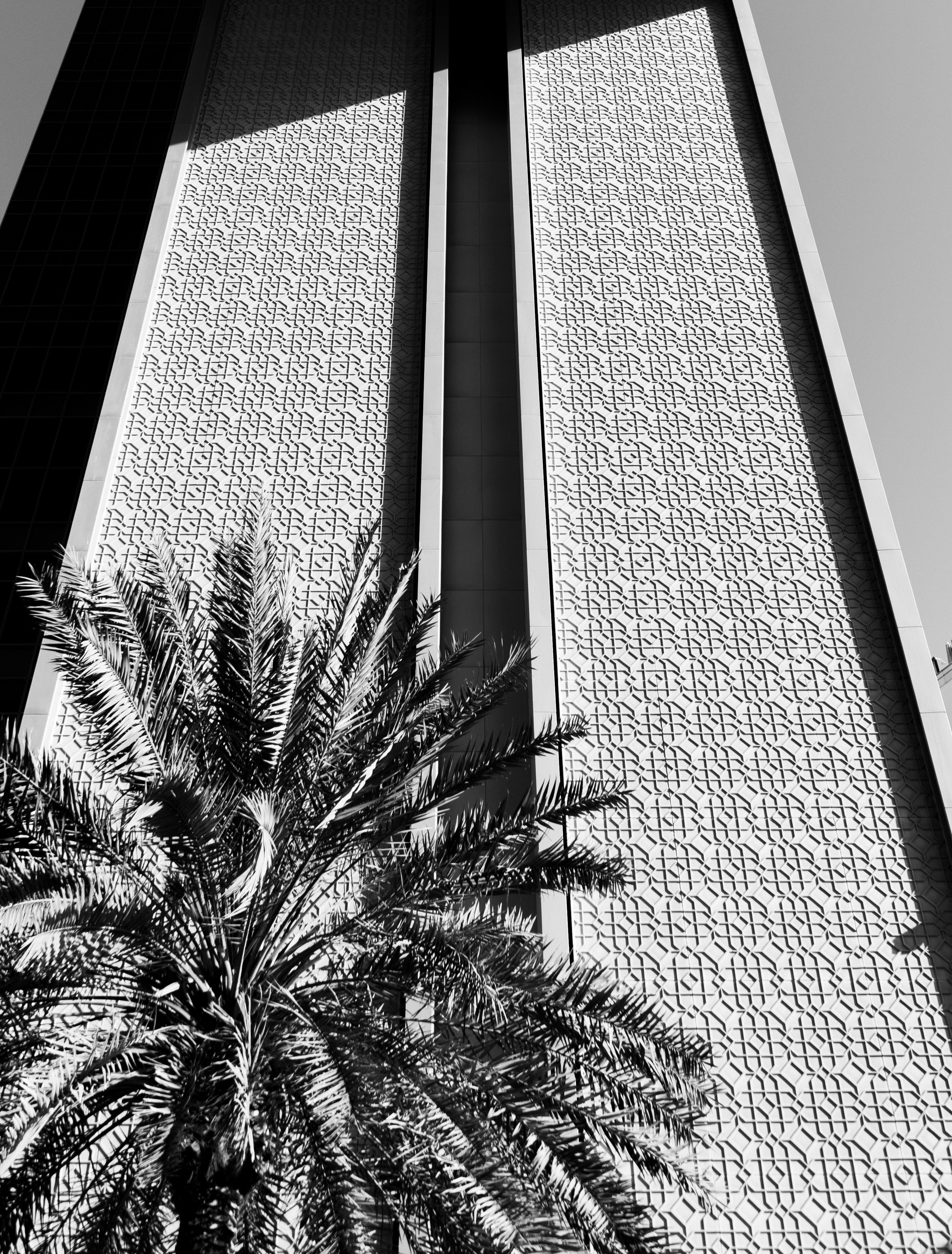 Zadarmo Čiernobiela fotografia fasády mrakodrapu s palmou, ktorá zdôrazňuje architektonický dizajn. Fotka z fotobanky