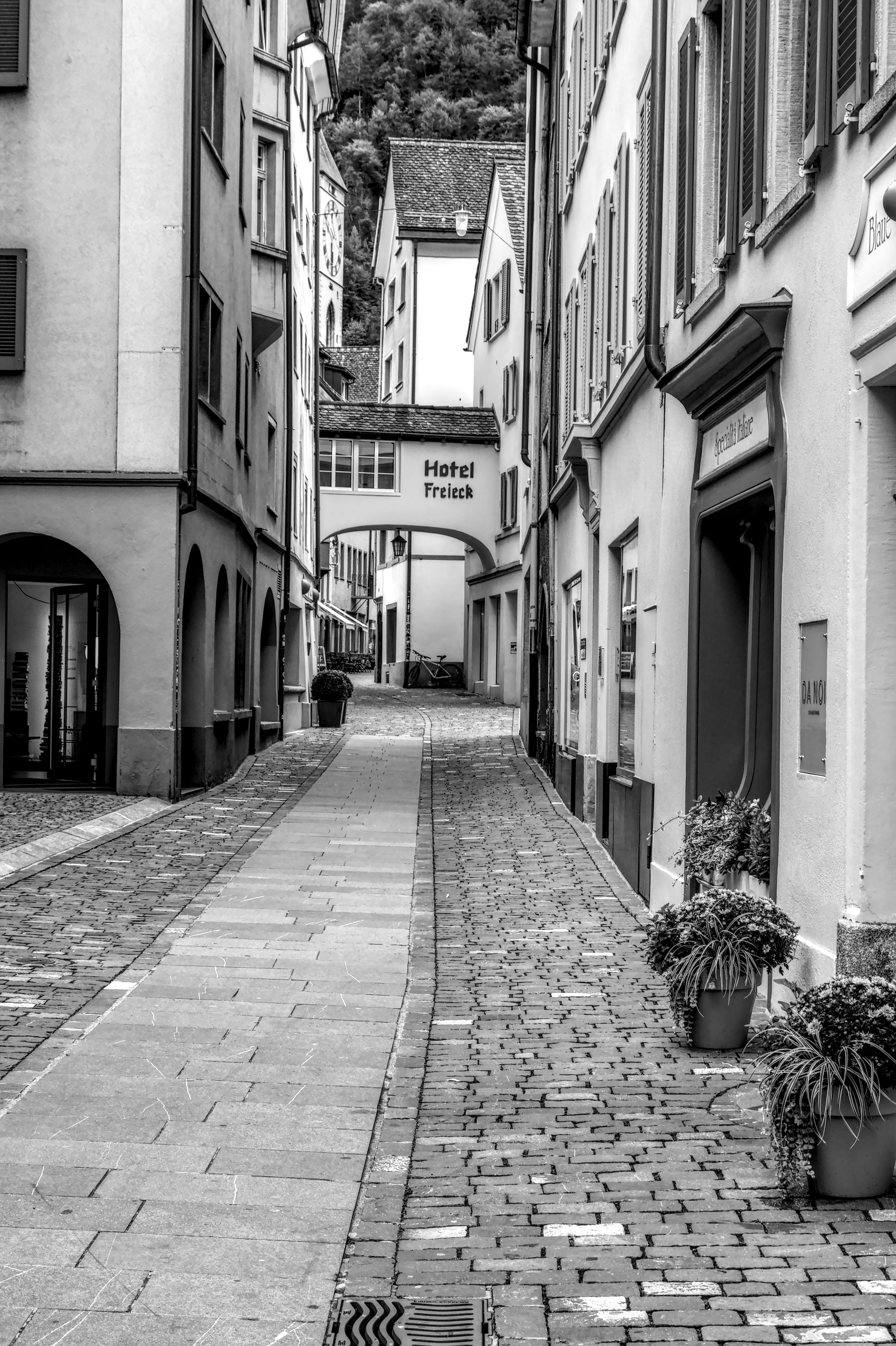 無料 歴史的な建築物と石畳の道が並ぶ、趣のあるヨーロッパの路地の白黒の眺め。 写真素材