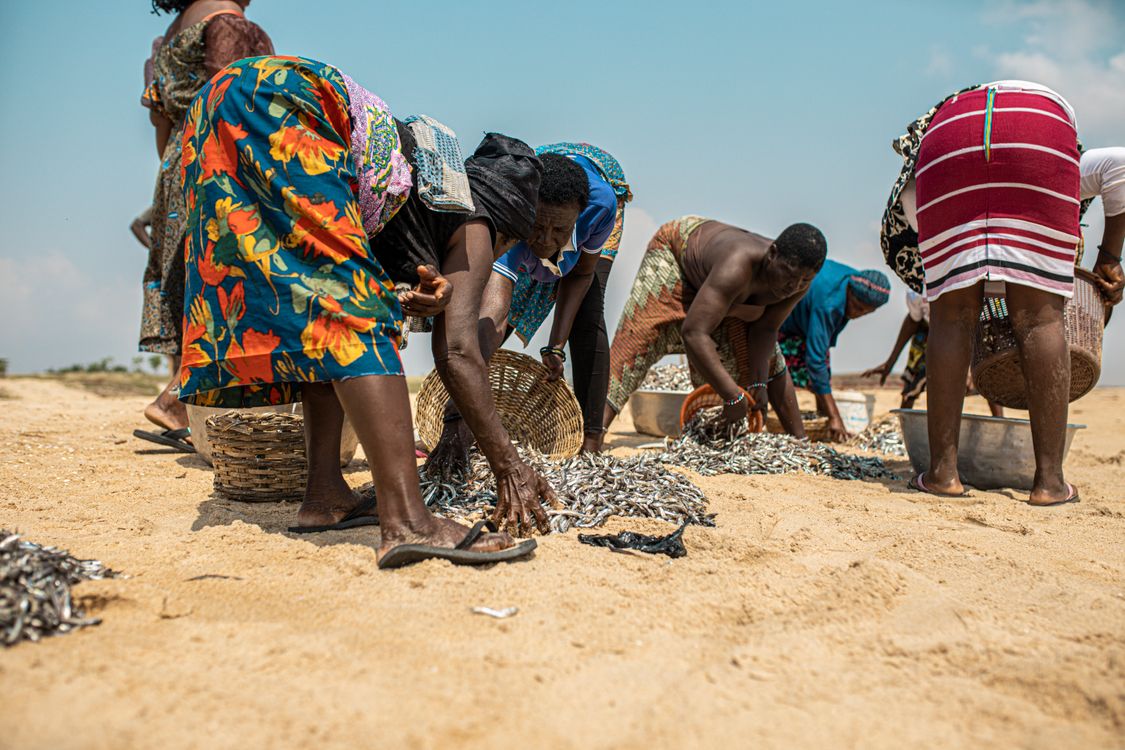 Gatcher Fish Community Fish Harvesting on Keta Beach, Ghana · Free Stock Photo