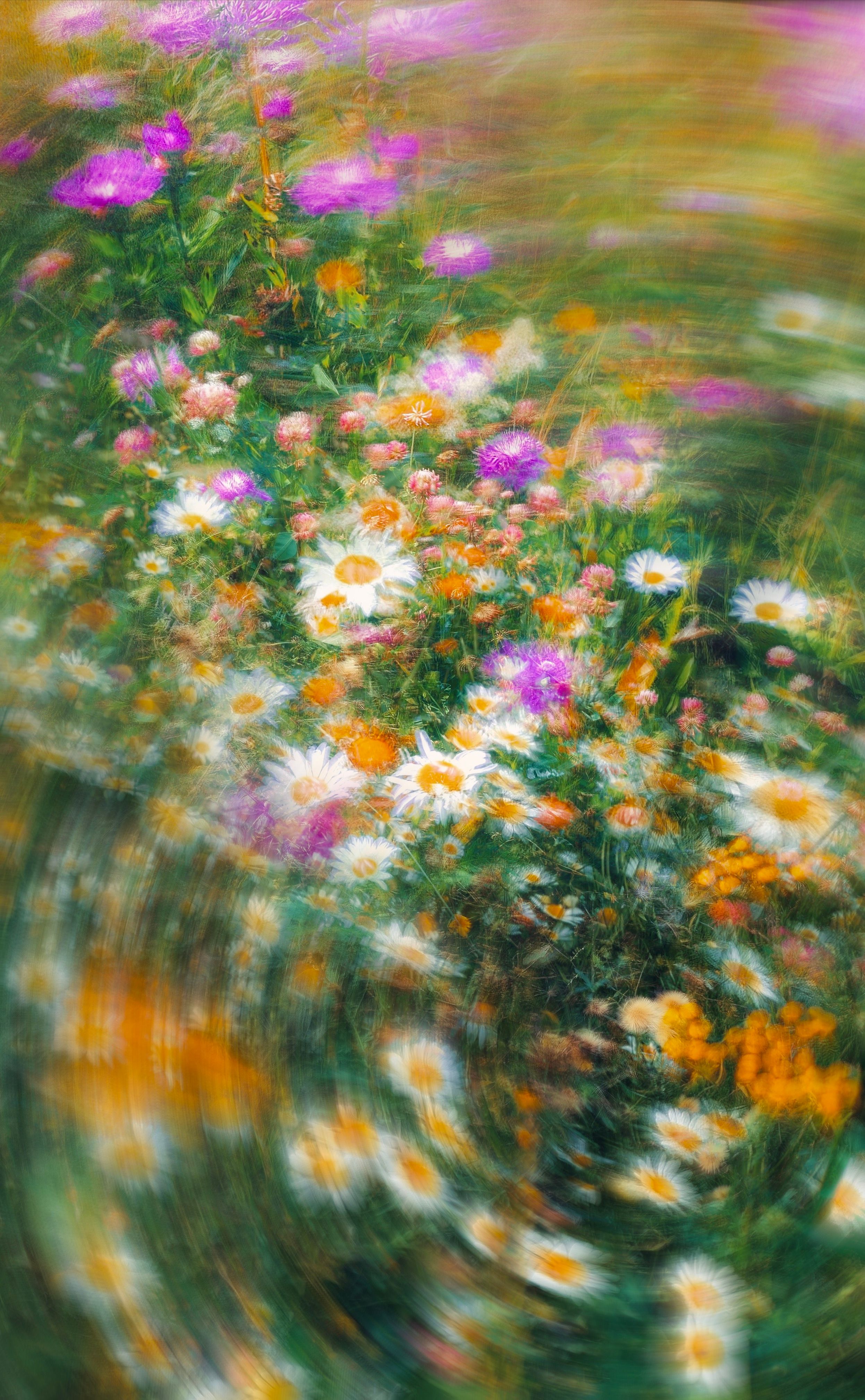 A dynamic abstract shot of a vibrant floral garden in full spring bloom with daisies and wildflowers.