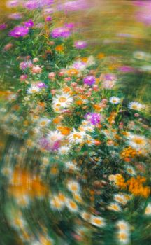 A dynamic abstract shot of a vibrant floral garden in full spring bloom with daisies and wildflowers.