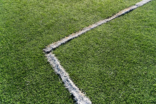 Detailed view of white lines on green soccer field turf, Istanbul, Turkey.