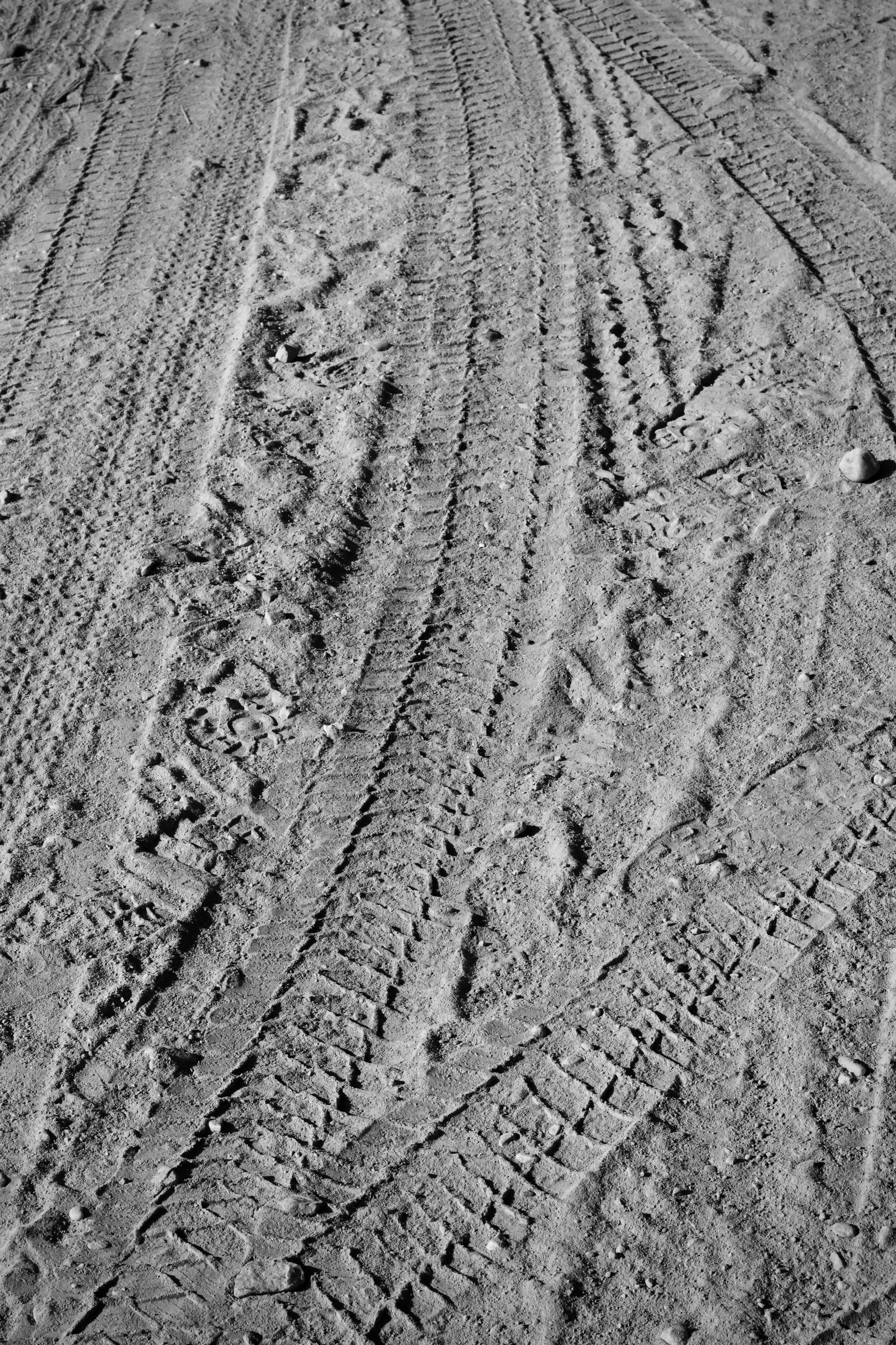 Tire Tracks on Sandy Terrain in Black and White · Free Stock Photo