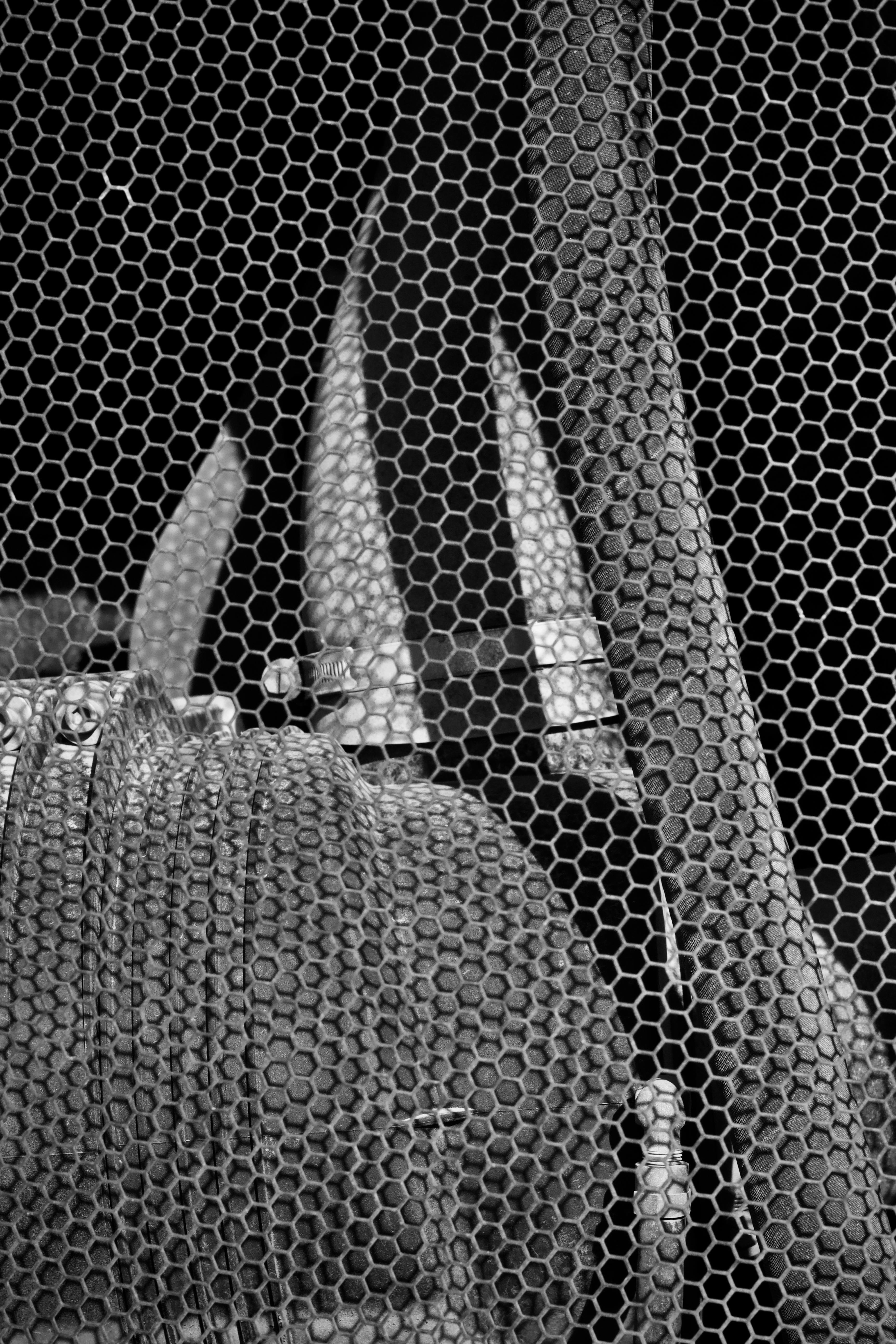 Gratuit Image en noir et blanc de cornes de taureau à travers un maillage à motifs, créant un effet artistique texturé. Photos