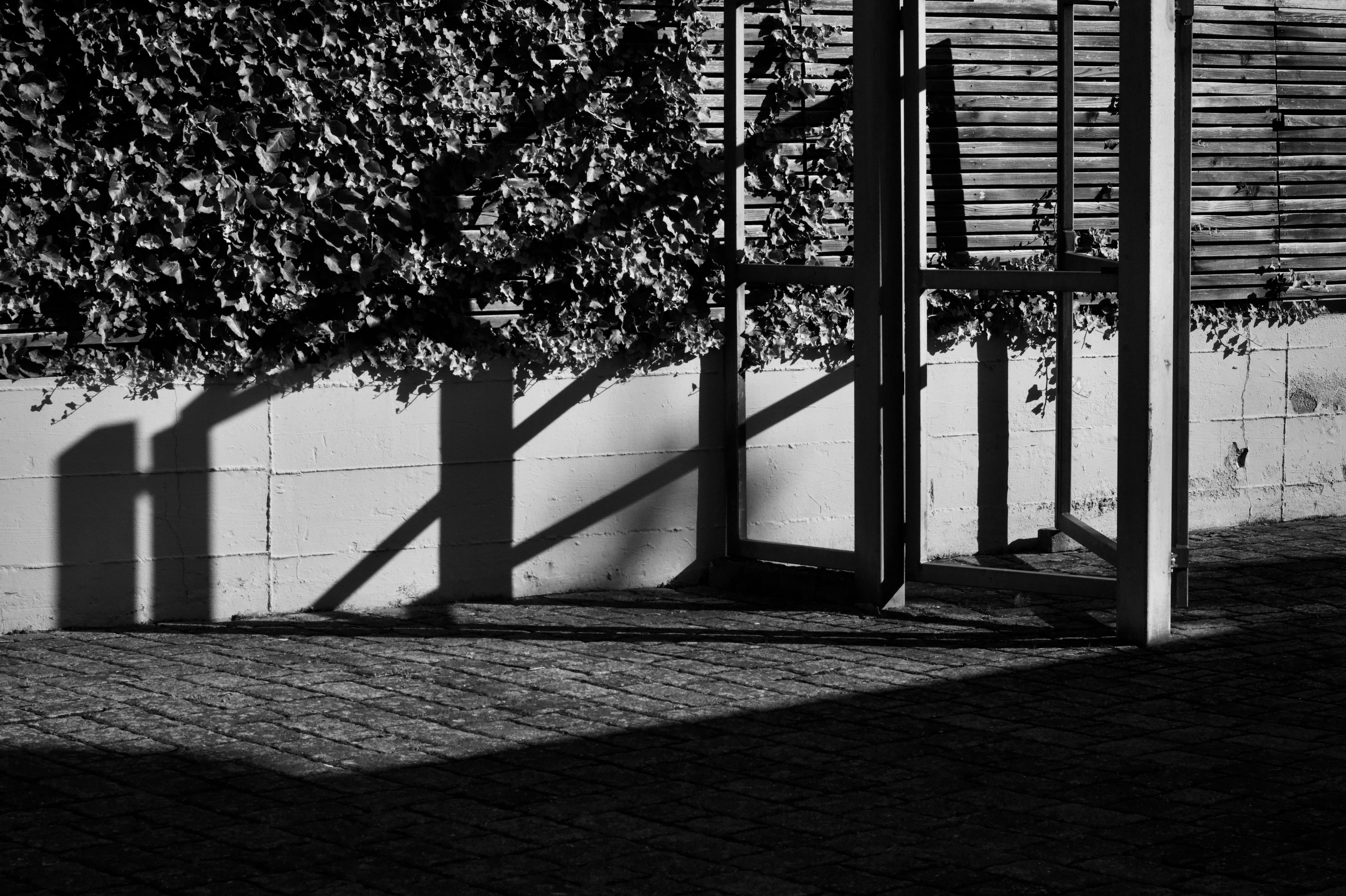 Gratis Esplora ombre spettacolari e linee geometriche in questa moderna scena urbana in bianco e nero. Foto a disposizione