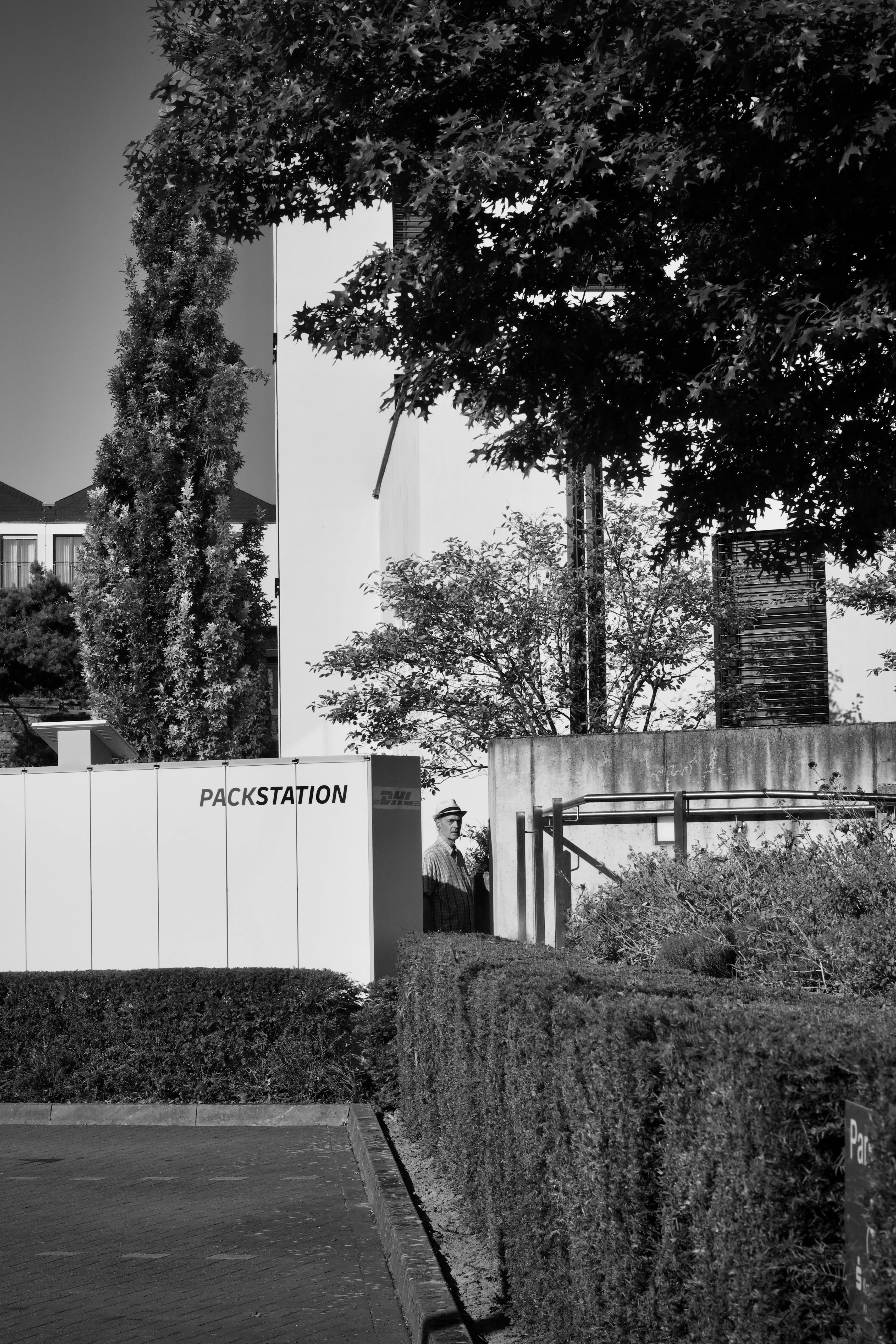 Free Monochrome image of a packstation with surrounding hedges and trees. Stock Photo