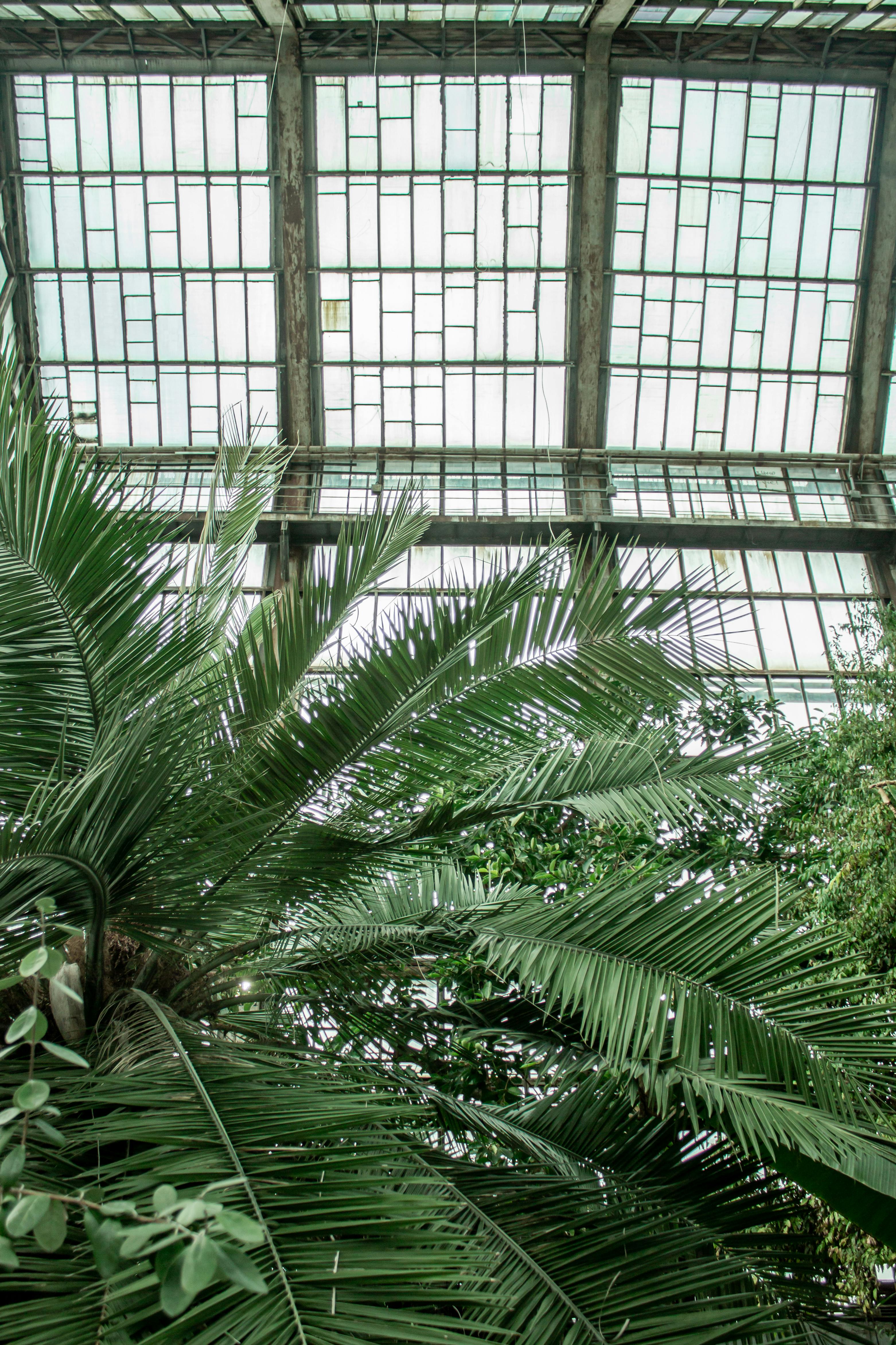 бесплатная Бесплатное стоковое фото с архитектура, архитектурный дизайн, безмятежный Стоковое фото