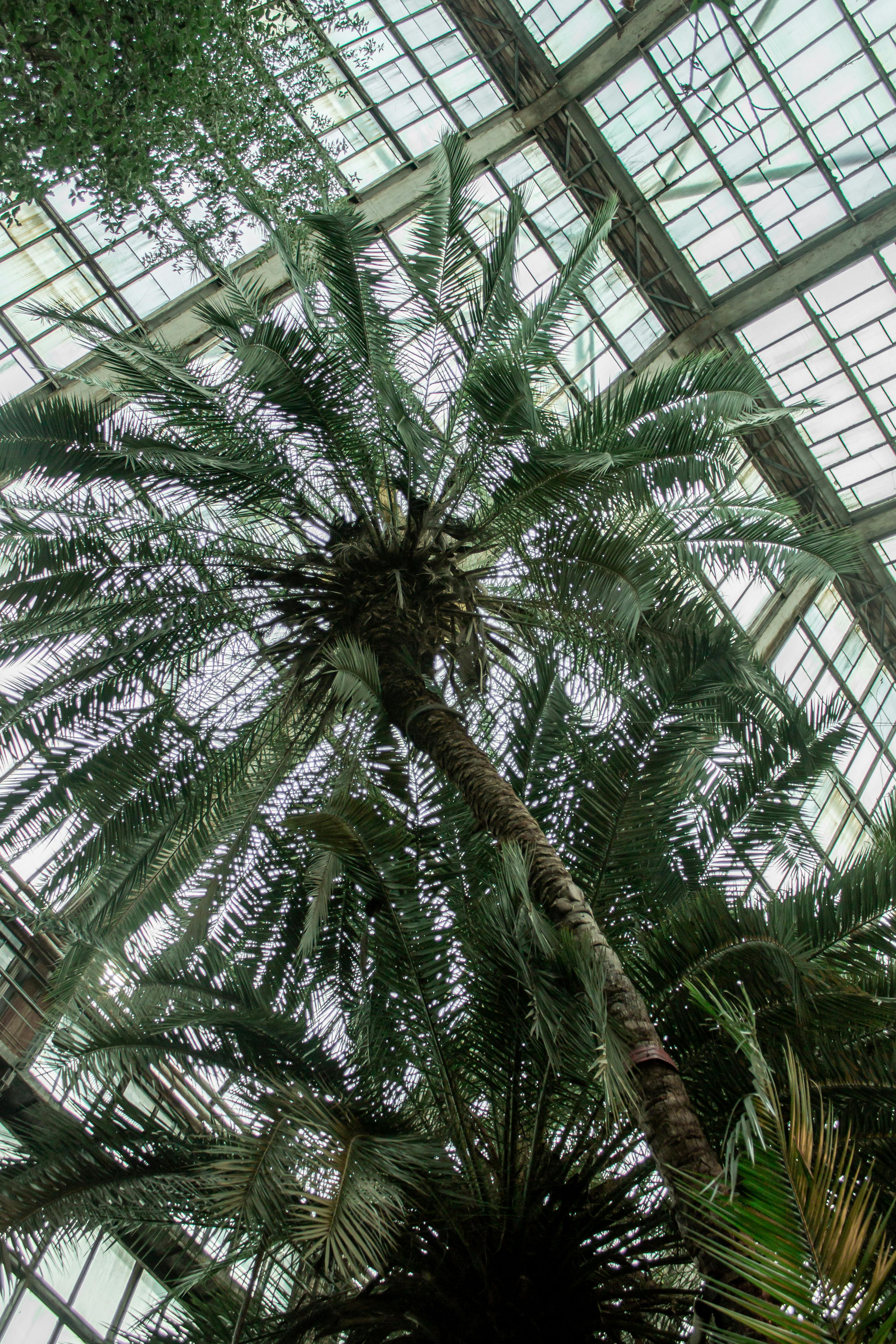 Gratis arkivbilde med # innendørs, anlegg, arkitektonisk design Arkivbilde