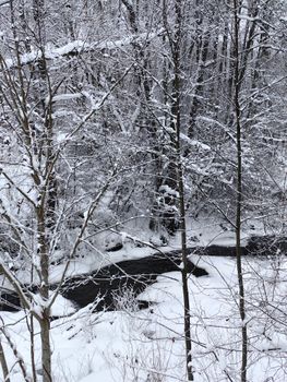 A tranquil winter landscape featuring a snow-covered forest and a gentle flowing creek.